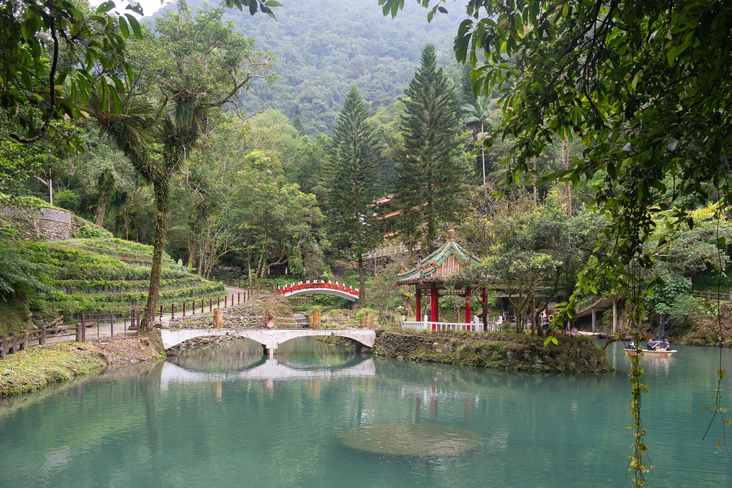 _8009563-HDR.jpg