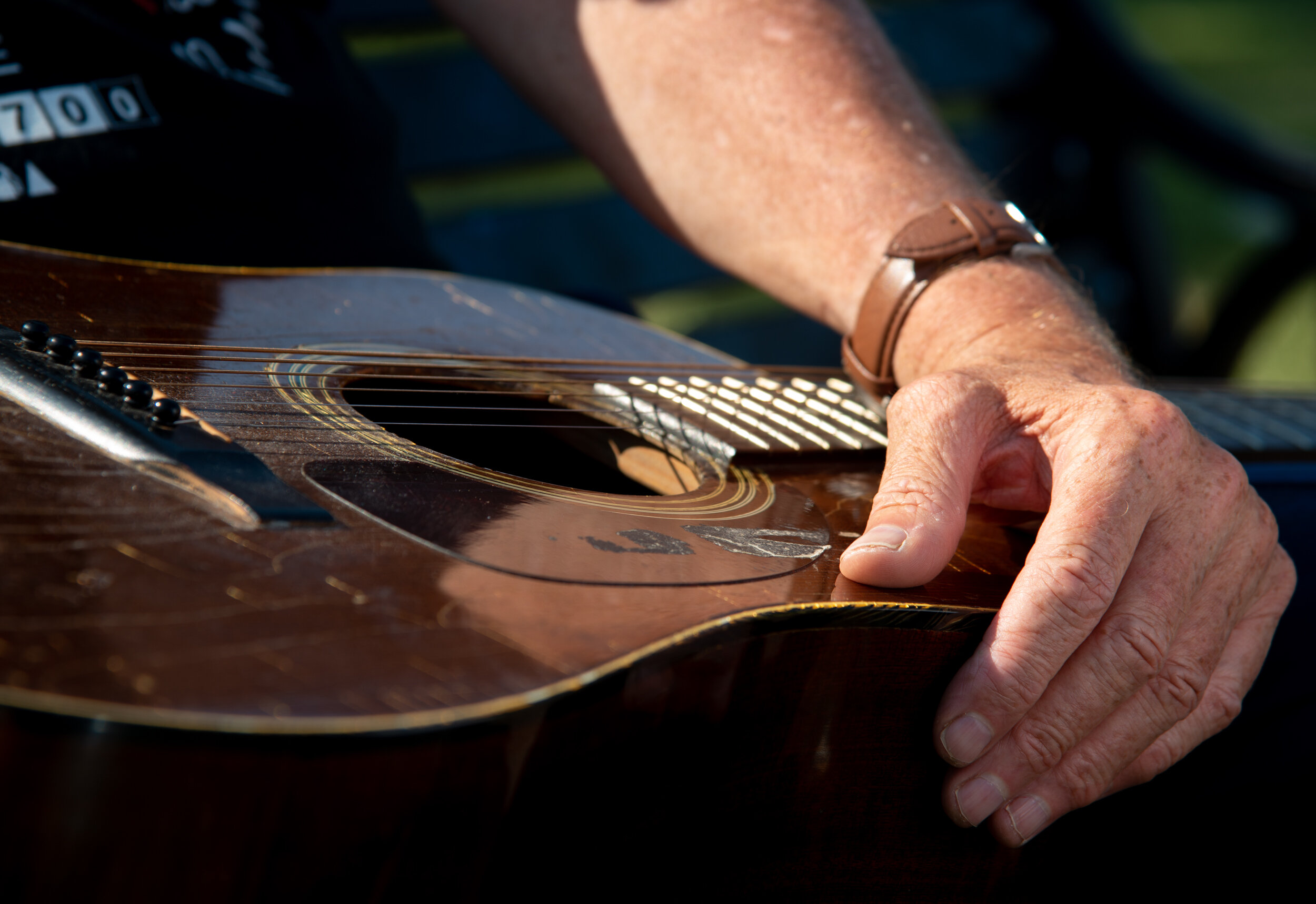 _8002709-2.jpg