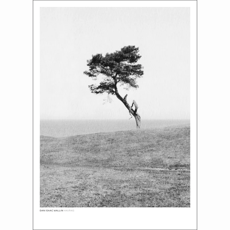 natur posters / naturmotiv