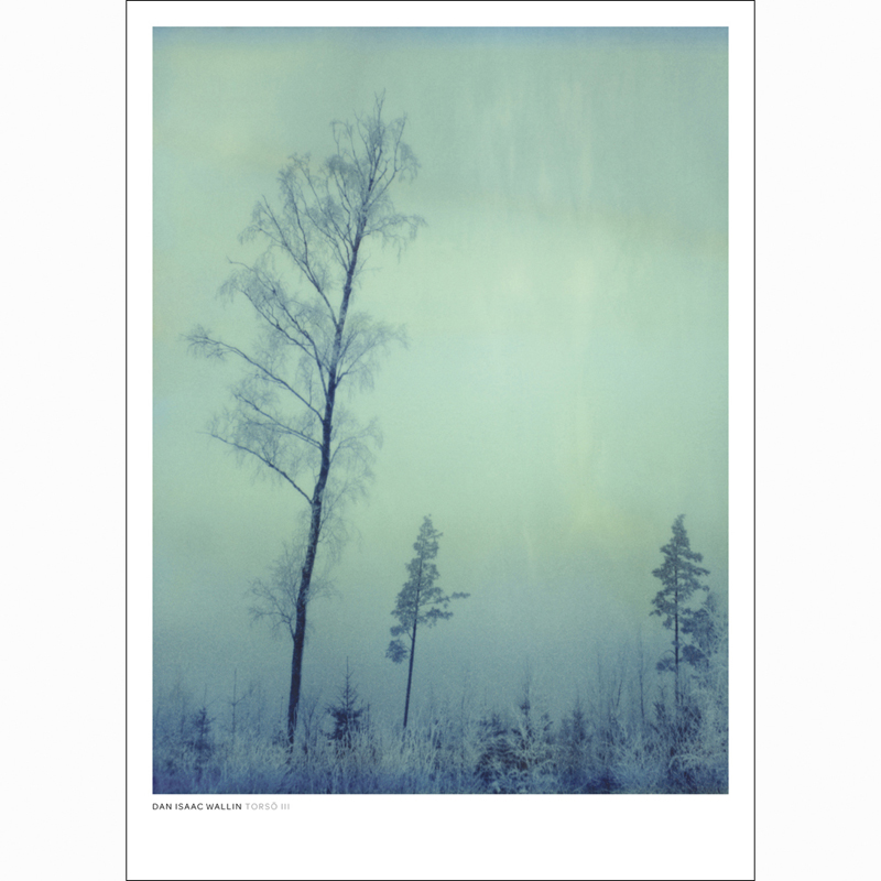 Konstposter