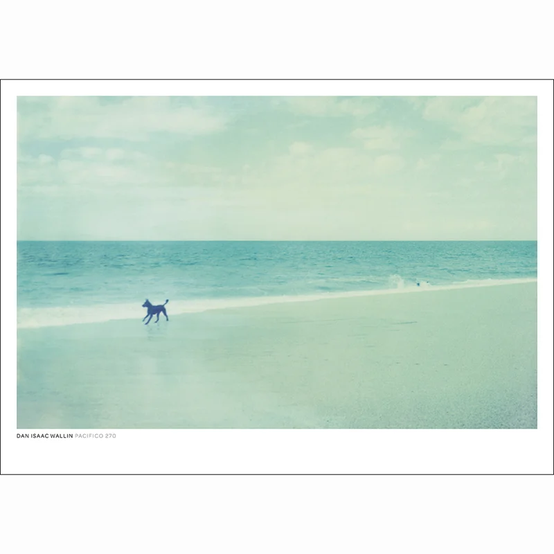 svenska posters online