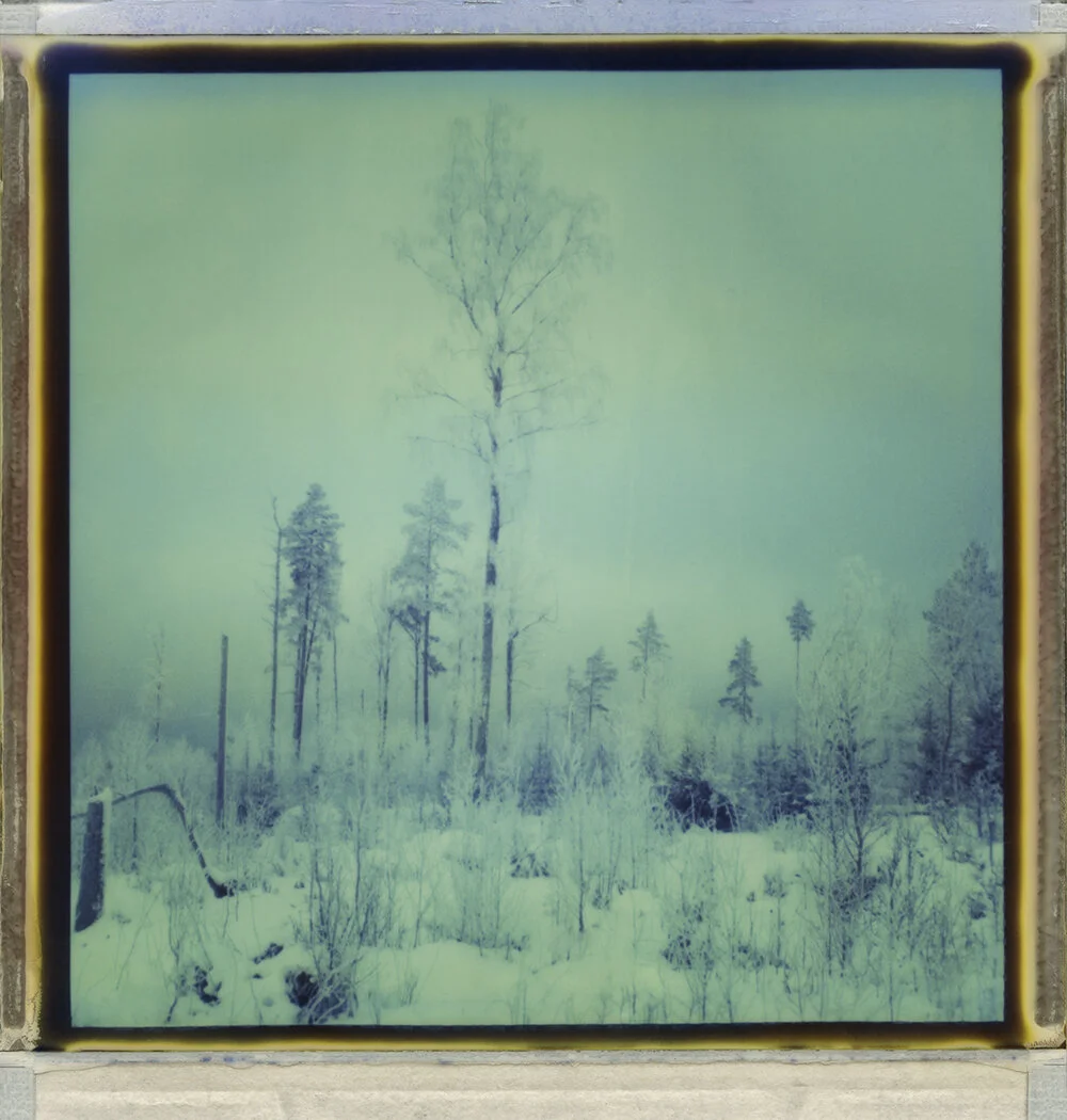 Torsö IV — PHOTOGRAPHER DAN ISAAC WALLIN