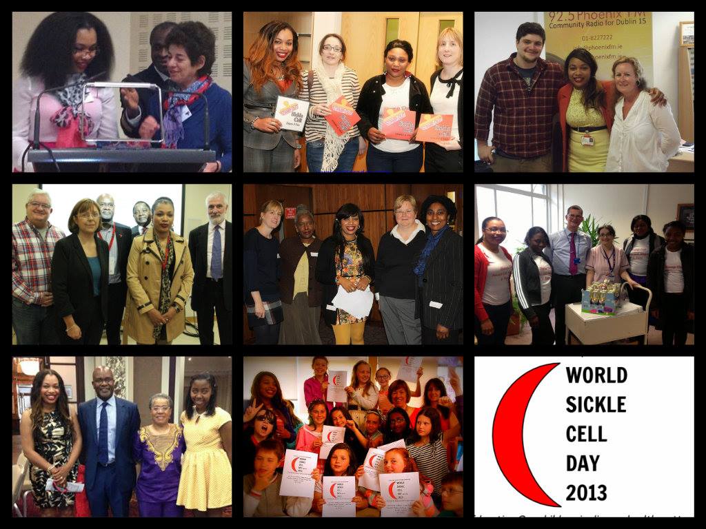 2013 - A Year In Review
