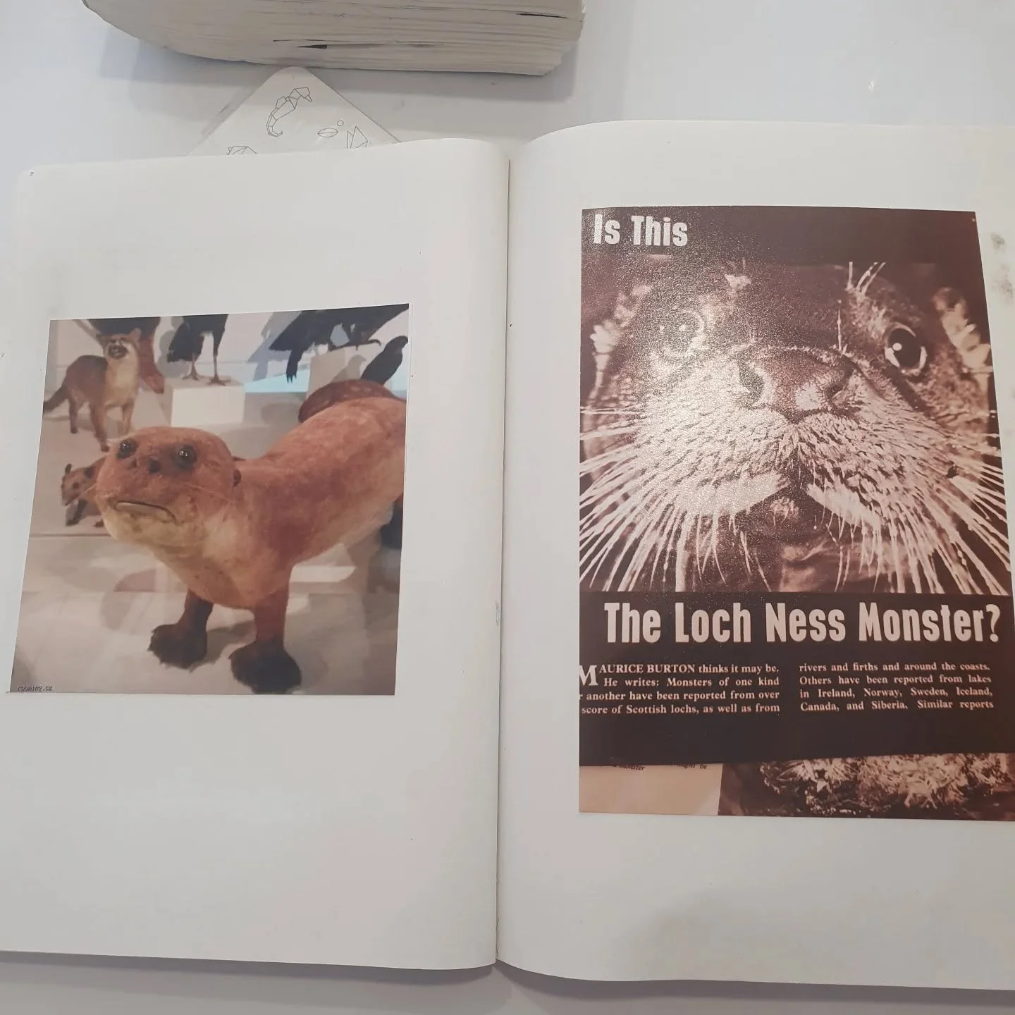 Time to revist my 'sketchbook' to remind myself of the treasures, and potential weirdos, within.

I struggle to keep a typical sketchbook, but I do like to print out the images I collect from the Internet and put them in books so I can view them with