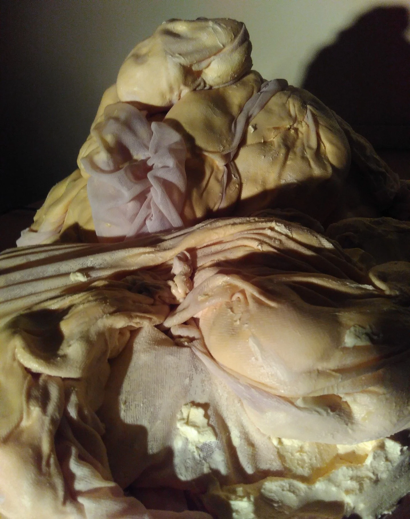 Digging through the files on my creaking laptop to see if I could find photos of my work 'Fat:10,000' in order to share with someone. 

I thought I'd share them here too. 

I calculated over the space of 20 years that I would take close to 10,000 tab