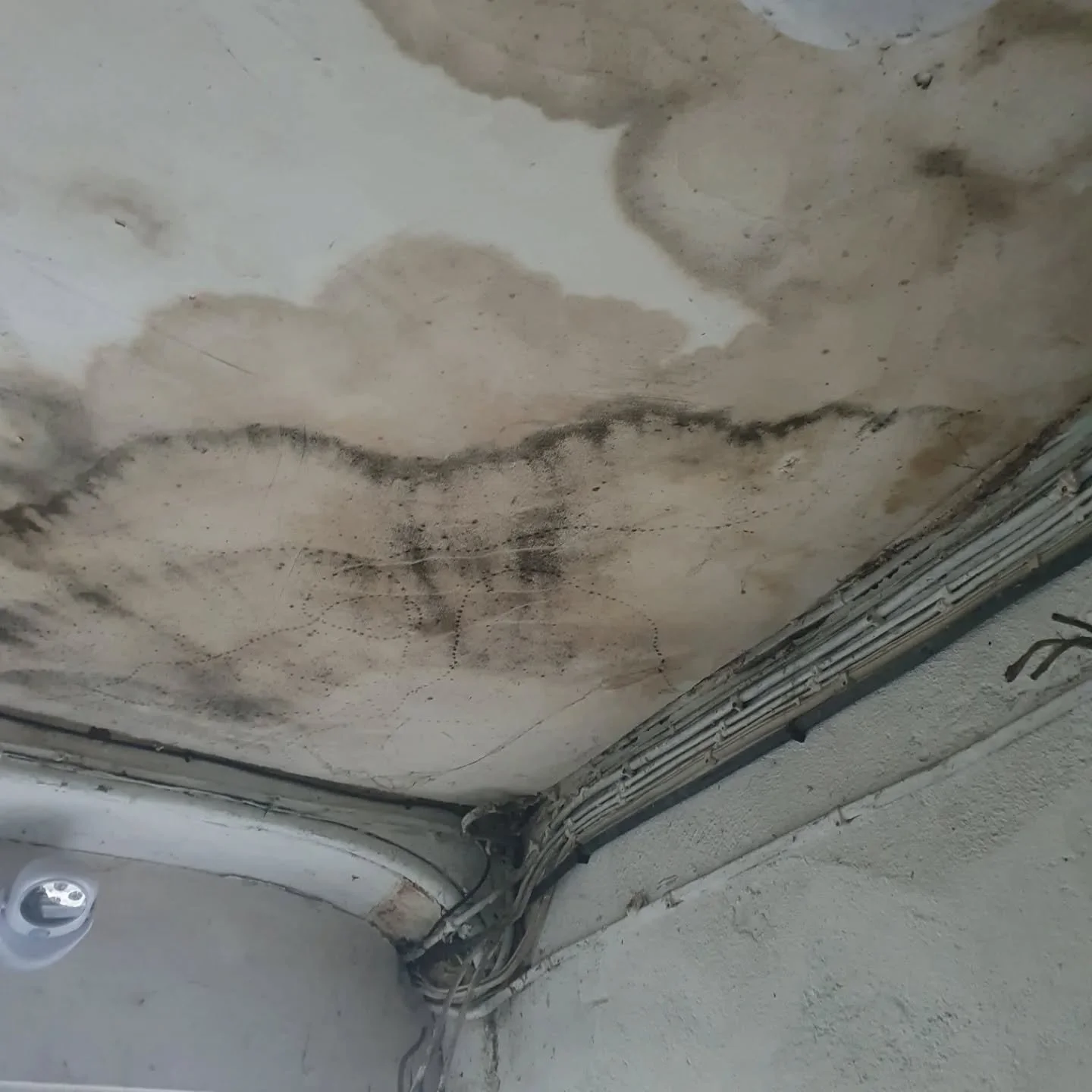 Loving the fact my studio is still damp and the electric bill has doubled due to needing the dehumidifier on 24/7.

I really just want to get on with finishing off all the reorganisation and painting but I don't feel I can do it until this is fixed. 