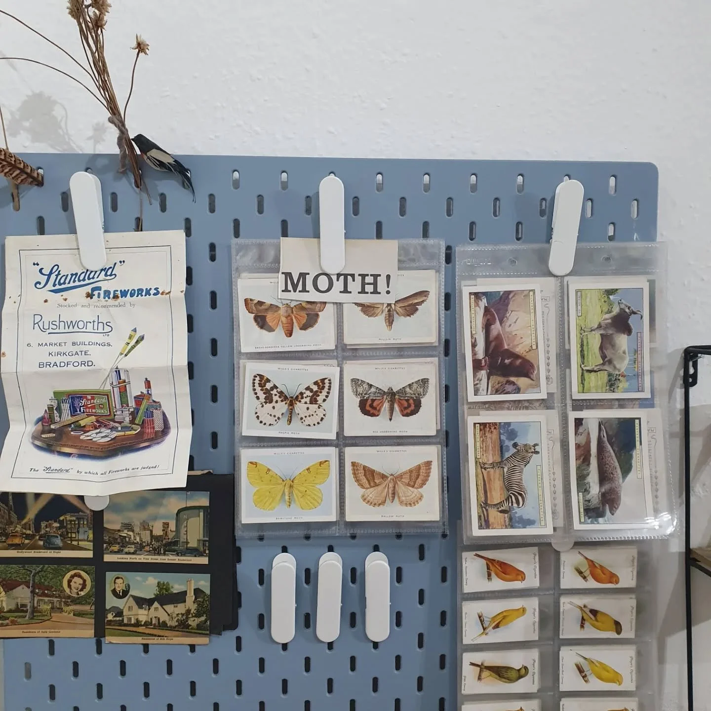 Following a lovely, laid back, crit/convo with @jkaydraws, @annadermitzakiart and @rosbason, I decided to go and do some wall/ceiling painting and rearranging of stuff. 

It feels so good to start putting things back on shelves, rediscovering treasur