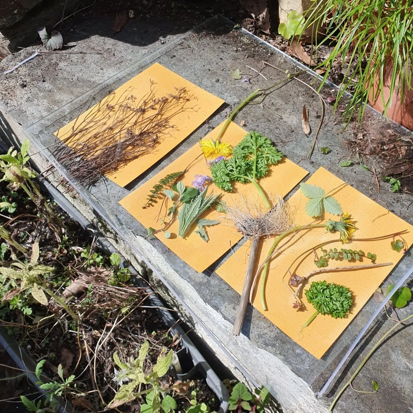 Some exploration &amp; inspiration from the last few weeks.
1) sun printing with turmeric paper &amp; @gwia.knitwear 
2) joy at noticing someone else's love of labeling thing
3) defunct freezer with mystery messages on
4) boards to paint on from @aut