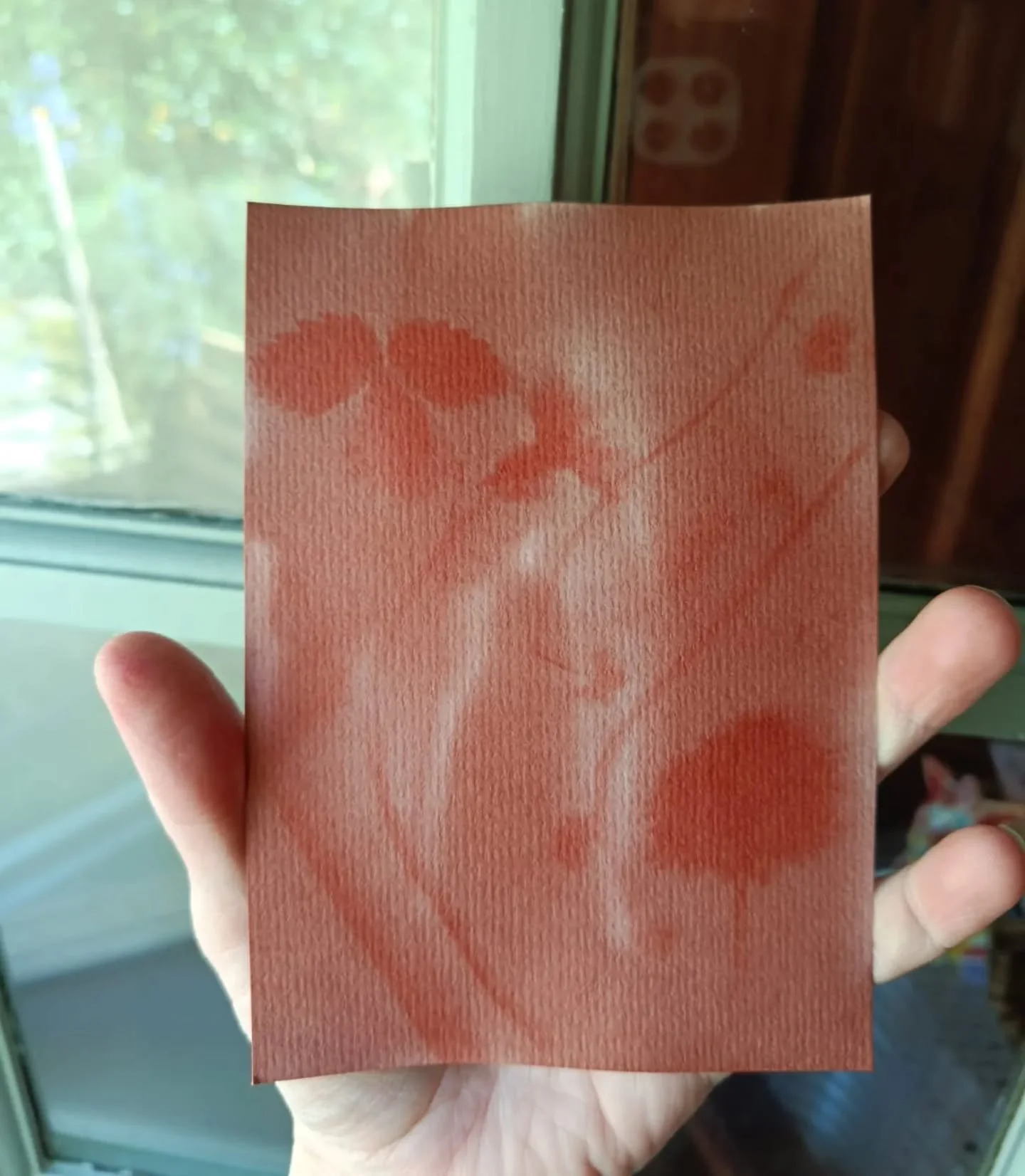 The results from the turmeric printing the other day- more sun needed perhaps, but a lovely first attempt.

I'm really enjoying the sun being out- I have lots more energy for @fishfactoryarts work &amp; for creative stuff. Now I just need to find som