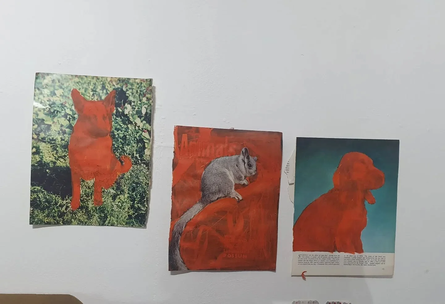 Painted some more orange dogs,  and attempted a possum but I could probably do with a bigger brush to cover the background.  And more orange paint. What will happen when I use up all the orange, maybe I'll end up buying some if I get too into this.