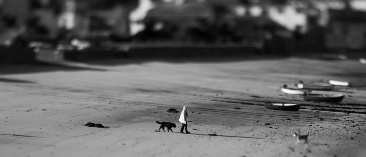 Dog Walker Tilt Shift, Isles of Scilly, UK