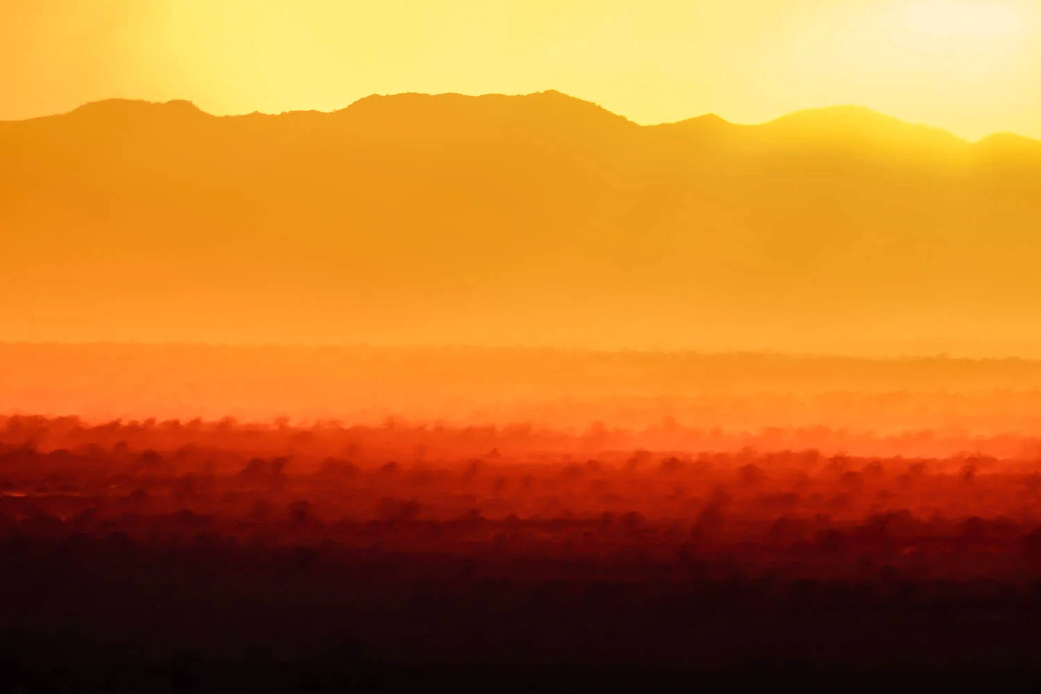 Kruger National Park, South Africa