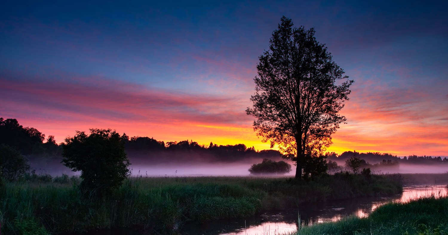 Kosi Most Bridge, Bialowieza, Poland