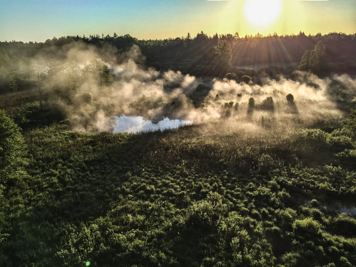 misty_morning_kosi_most.jpg