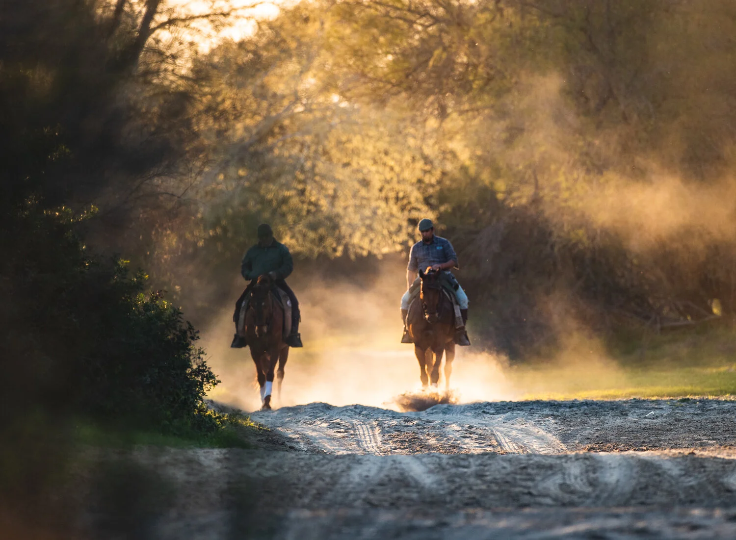 Horse Riding, El Rocio, Spain