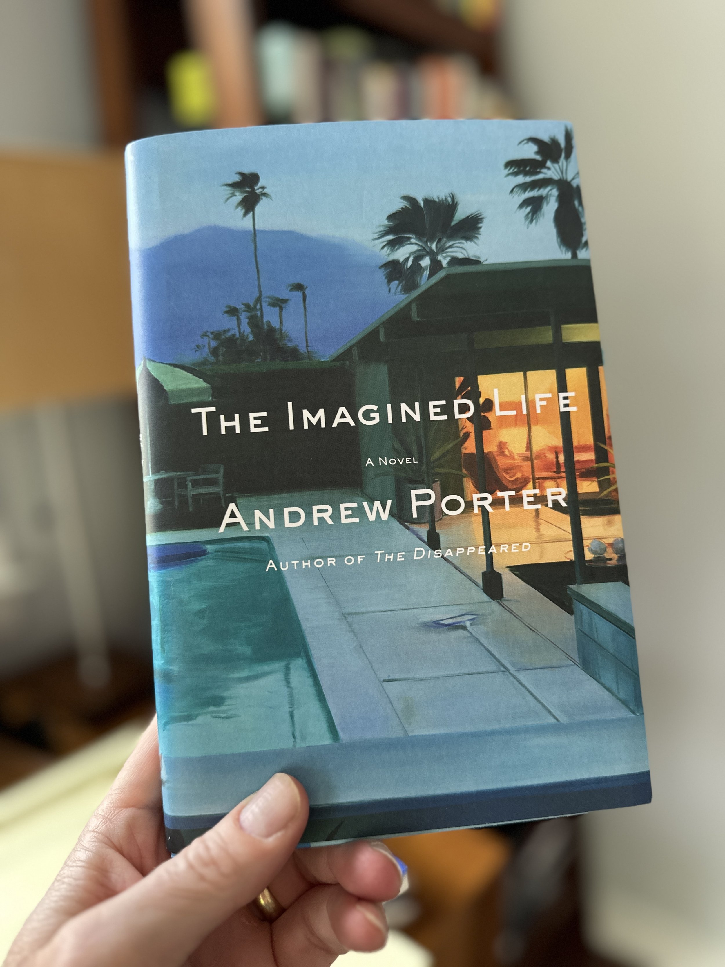 The Imagined Life by Andrew Porter