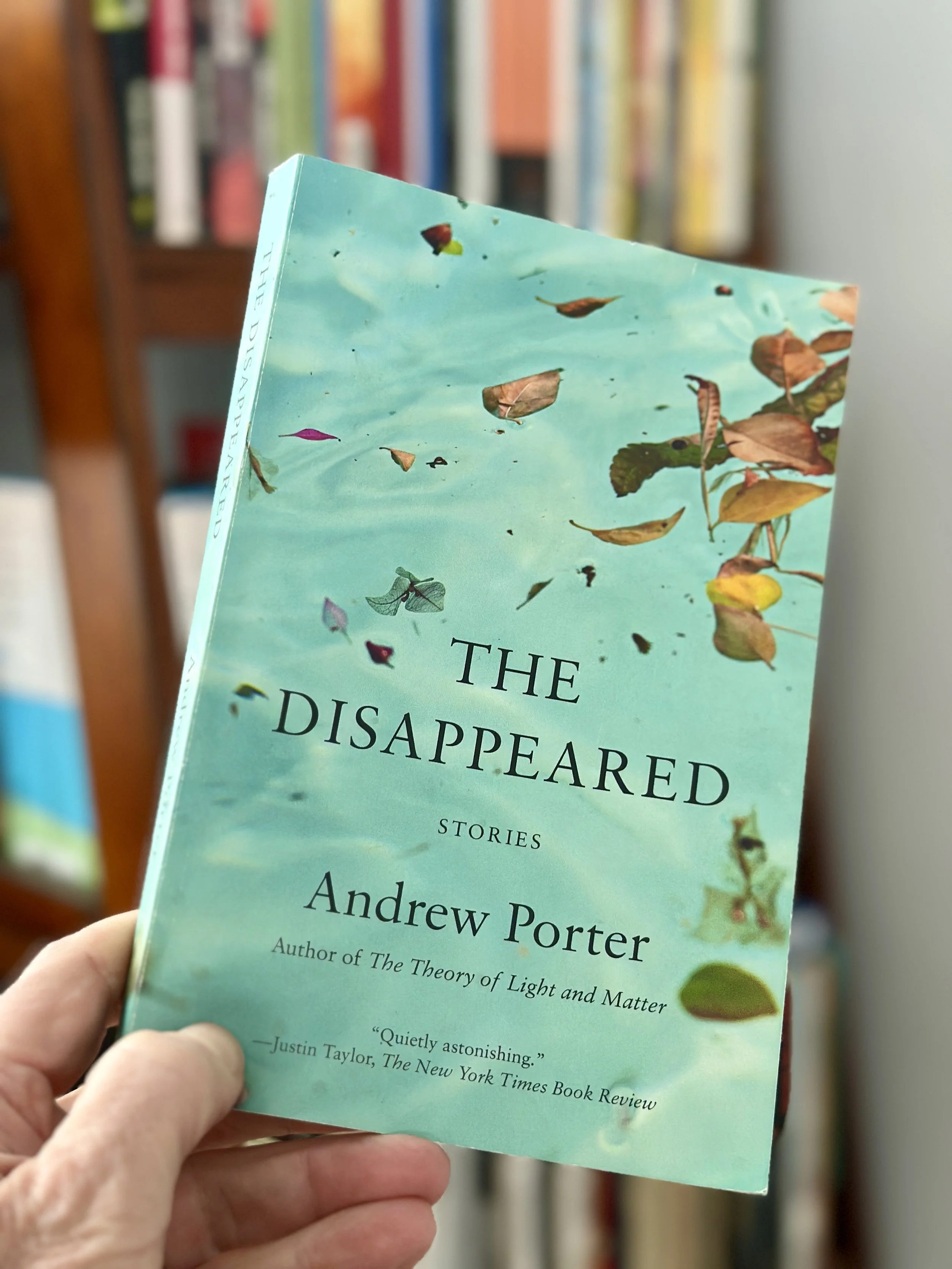The Disappeared by Andrew Porter