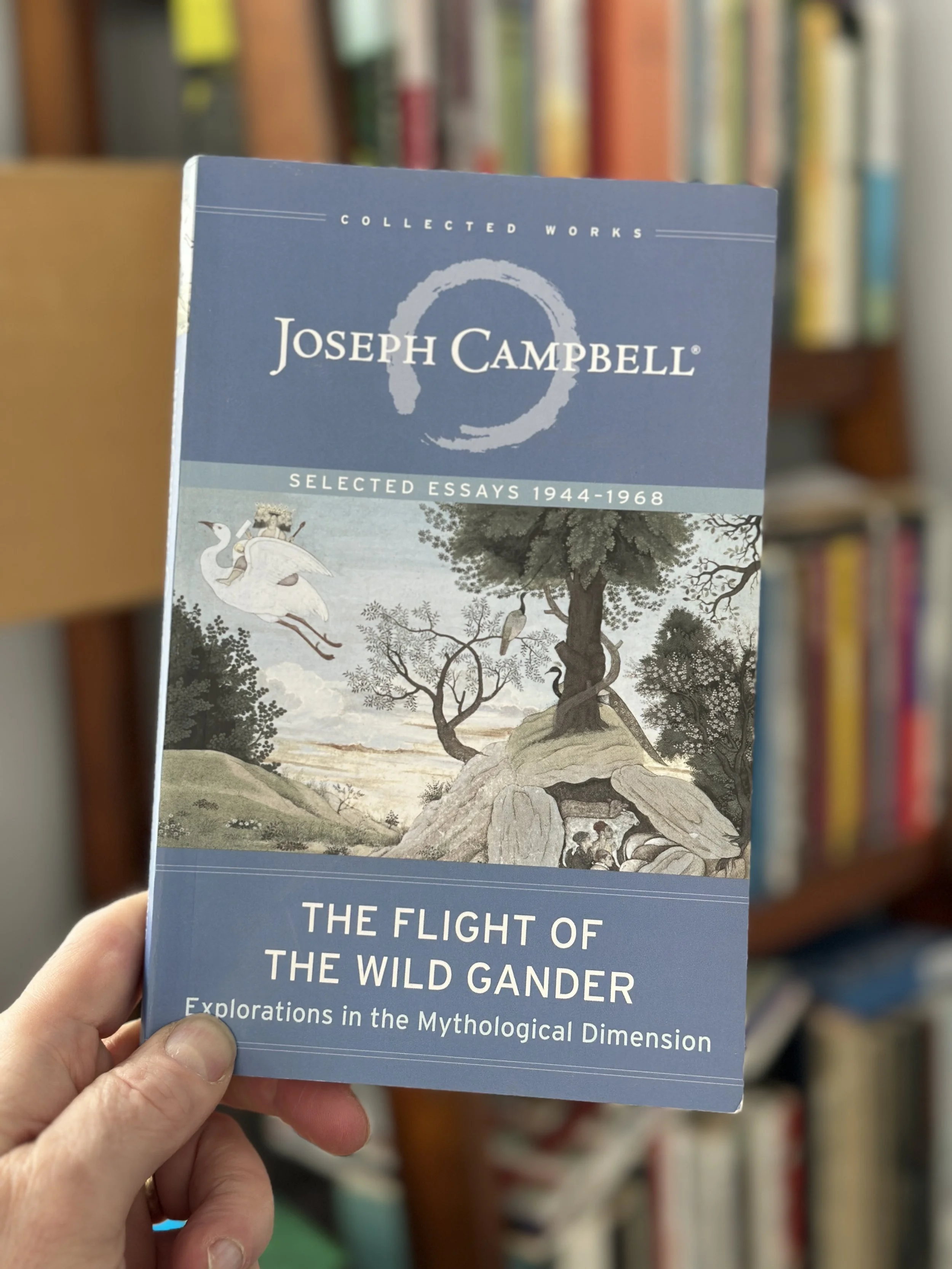 The Flight of the Wild Gander by Joseph Campbell