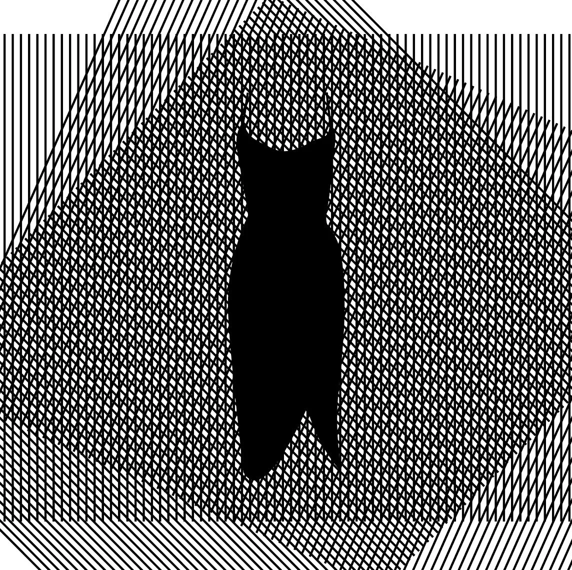 Fashion Events at AUP