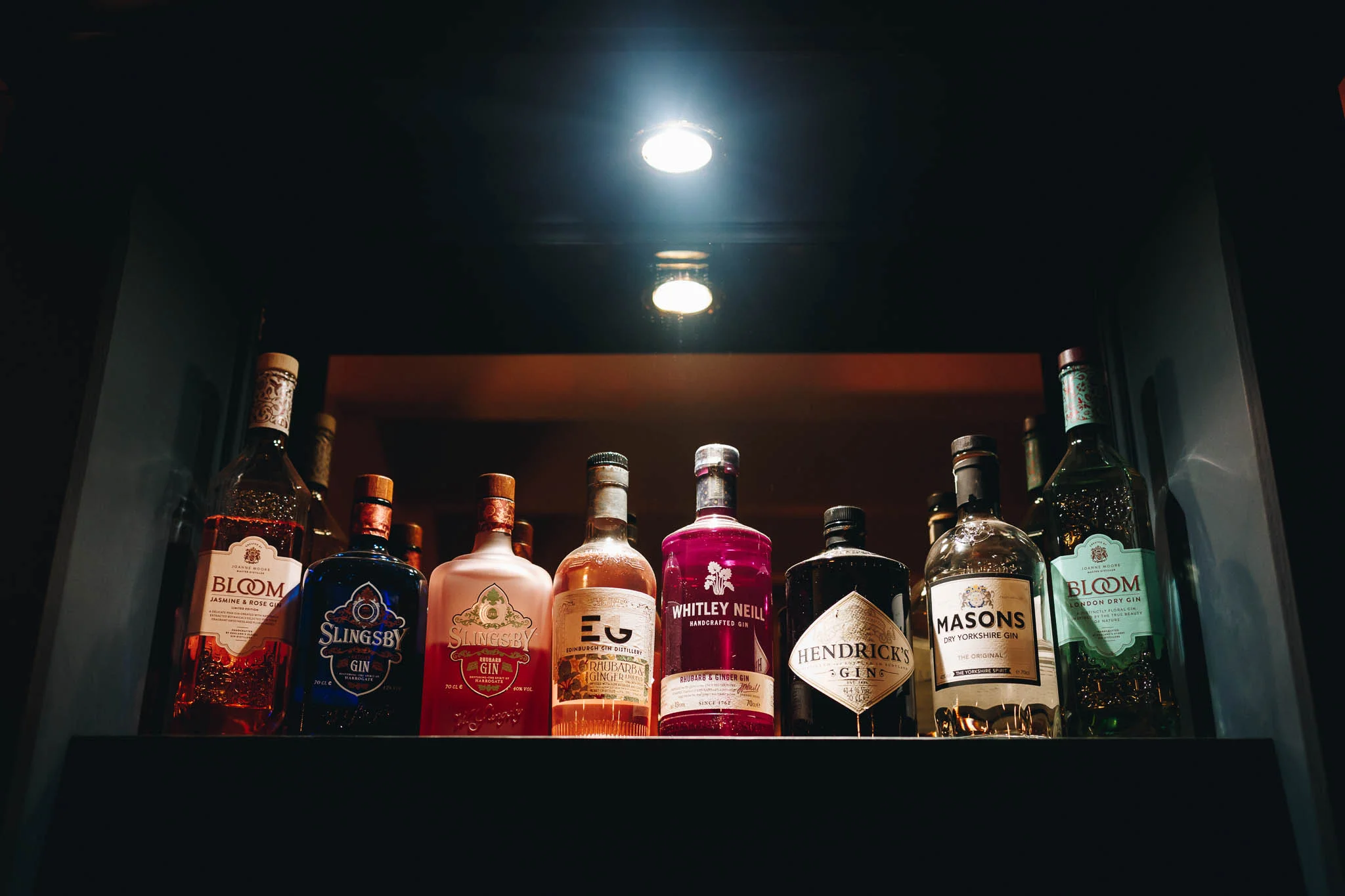 GIN.jpg