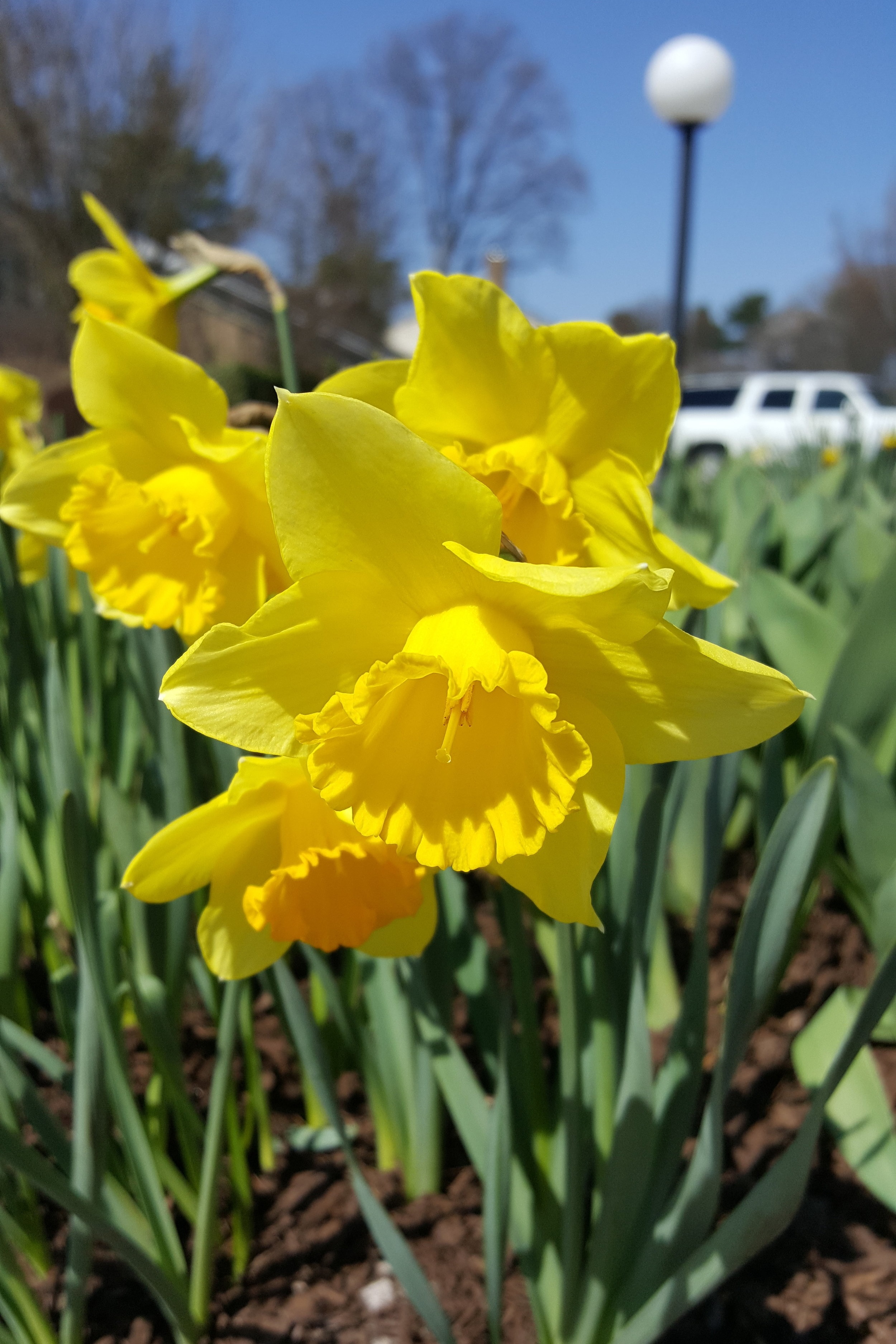 signs+of+spring_april.jpg