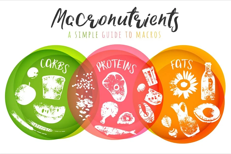 macronutrients-3-01_preview-.jpg