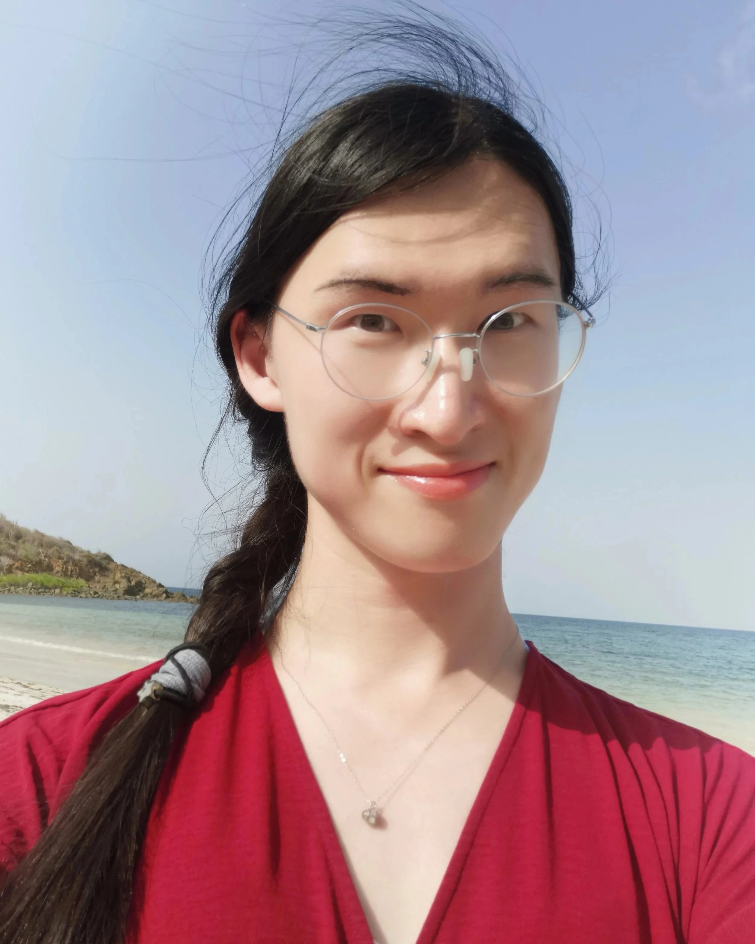 Dr. Binxu Wang