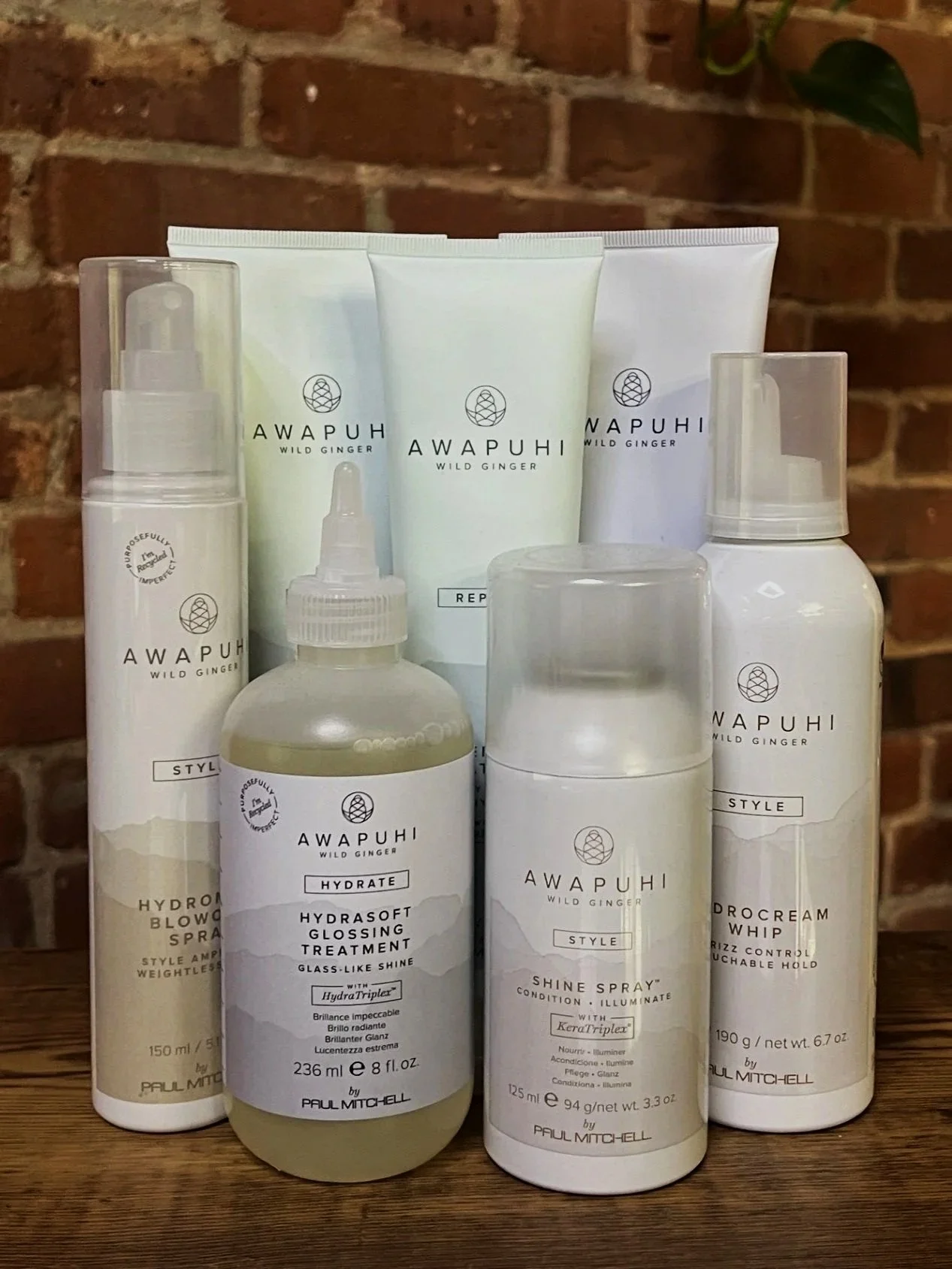 Paul Mitchell  Awapuhi Wild Ginger
 
Awapuhi Wild Ginger offers intense hydration, repair, and shine for dry or damaged hair. Infused with Hawaiian awapuhi extract and strengthening keratin proteins, it restores softness and manageability. Ideal for 