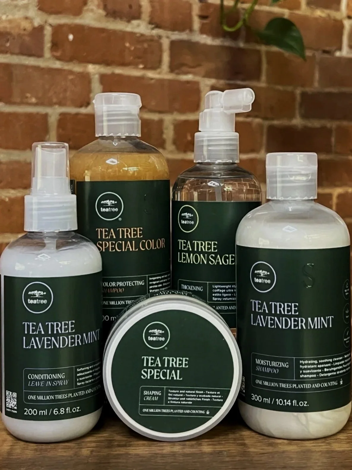 Paul Mitchell Tea Tree 
Tea Tree products provide a refreshing, invigorating experience for scalp and hair health. Cooling peppermint and tea tree oil stimulate the scalp while cleansing and balancing. Perfect for clients who love a clean, refreshing