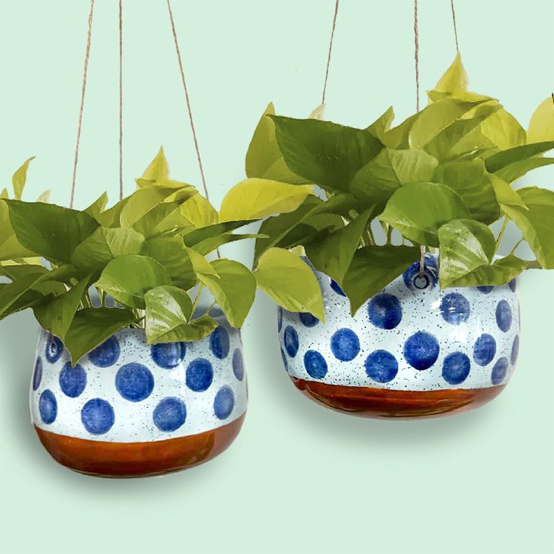hanging planters.jpg