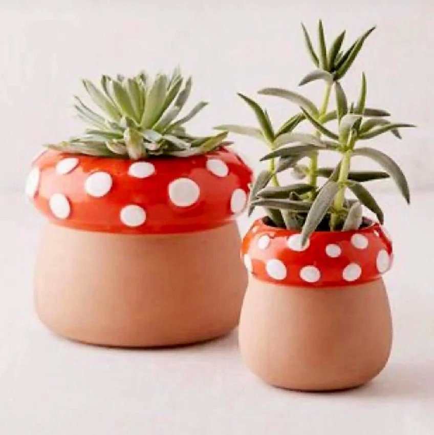 mushroom planters.jpeg