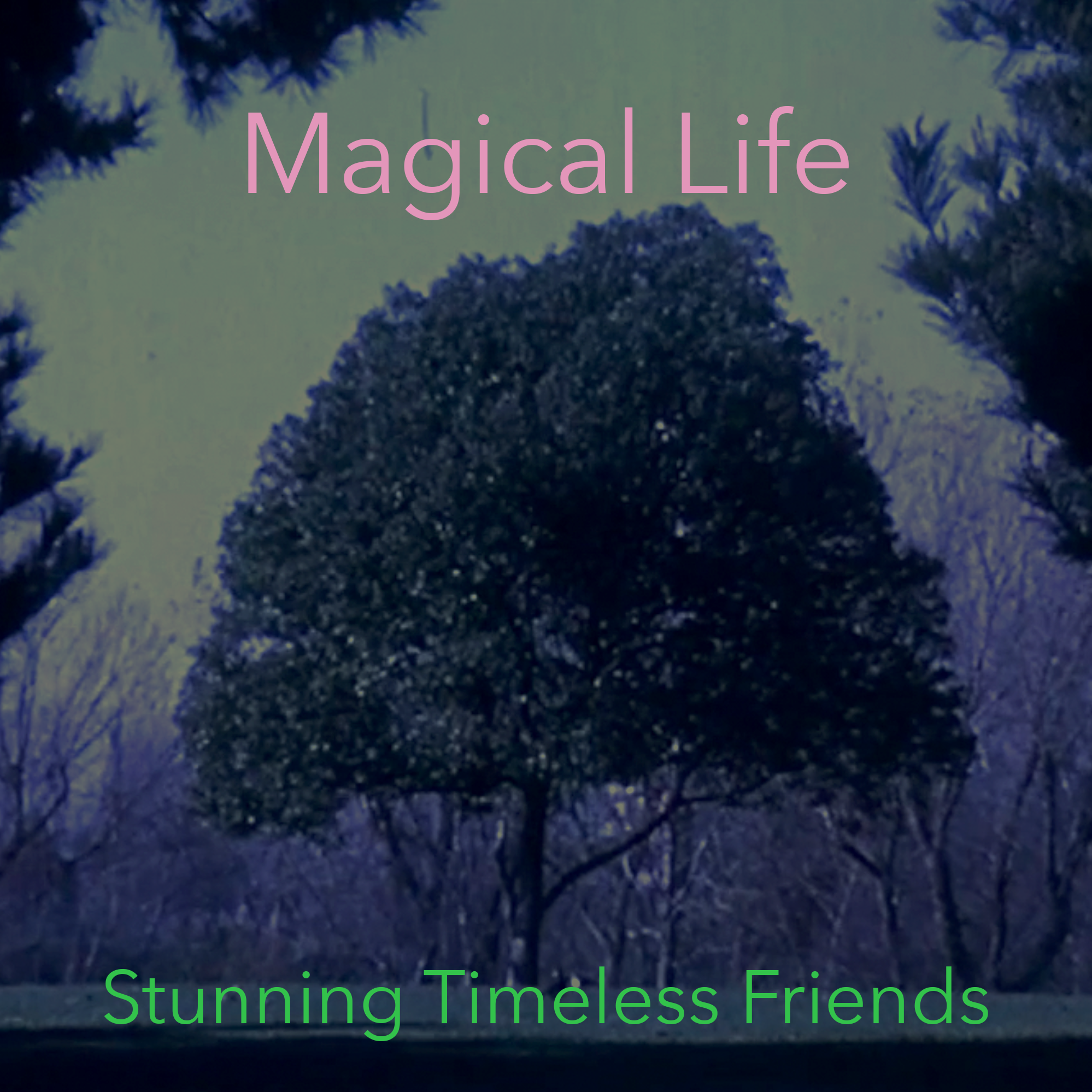 stunningtimelessfriends_cover.png