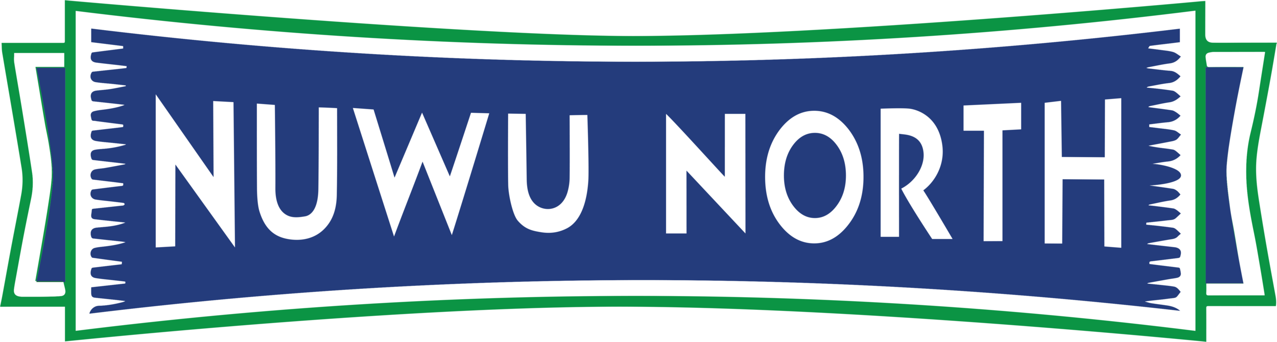 NuNor Banner.png