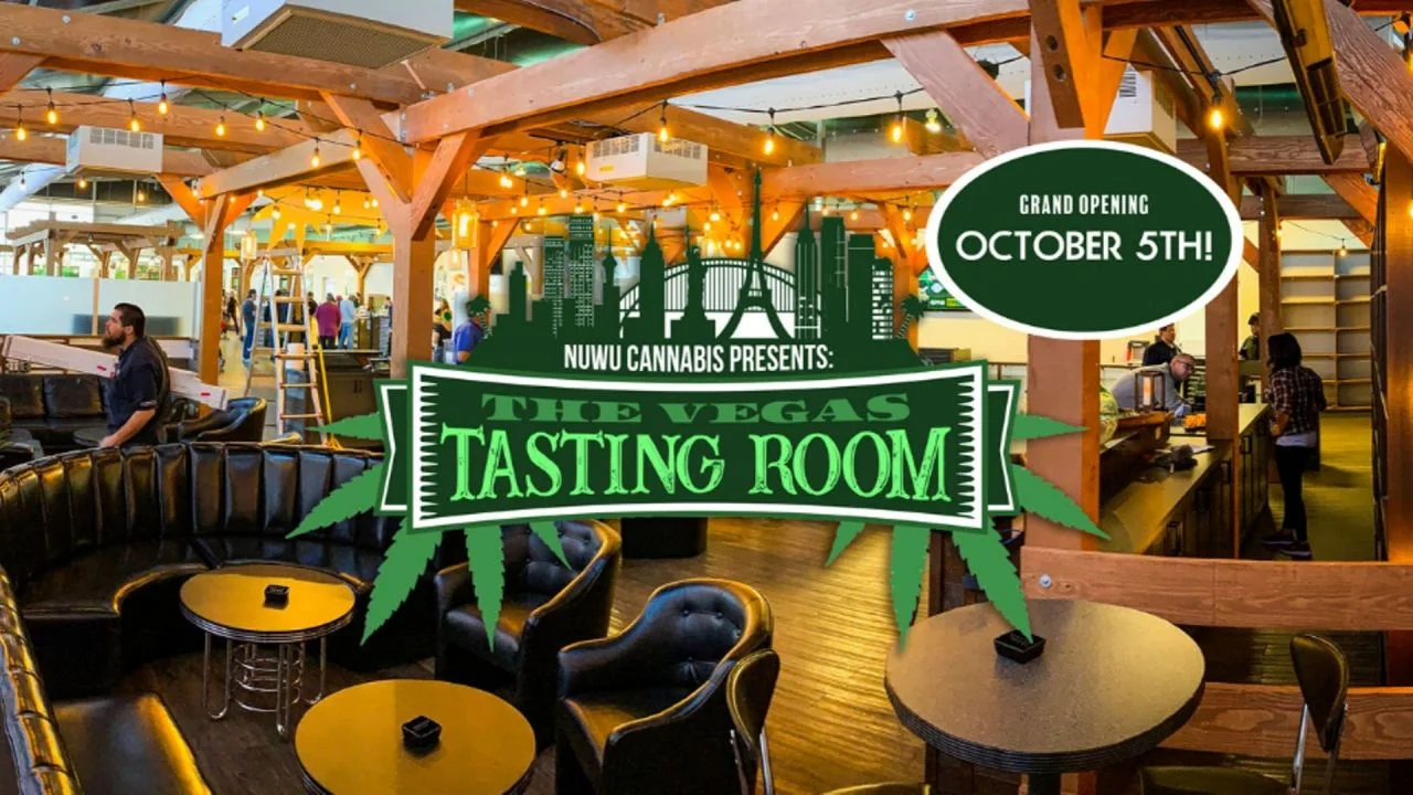 Tourists, locals say new pot lounge is 'Dope'