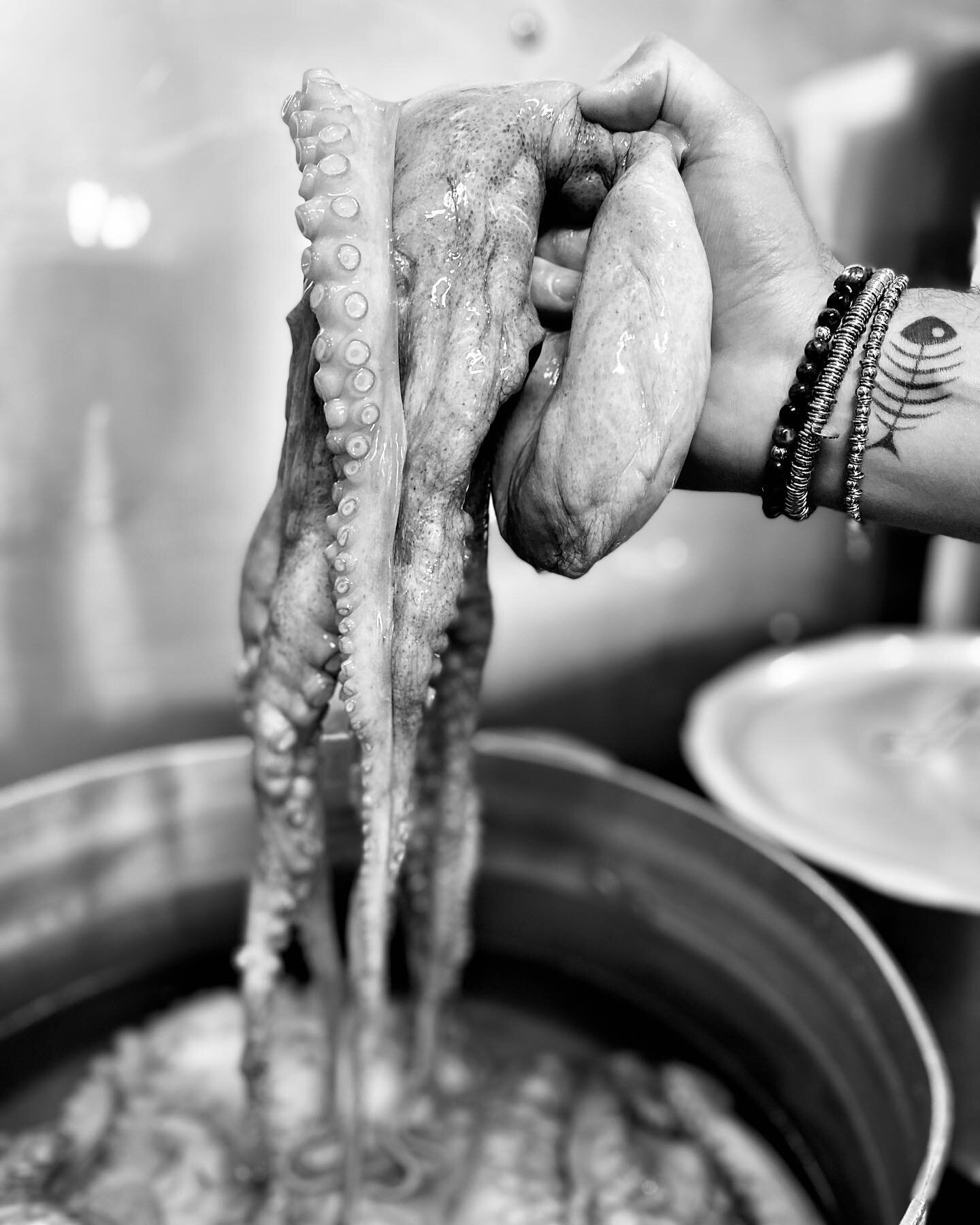 ᴏᴄᴛᴏᴘᴜꜱ 🐙 

#ristorantemenzaghi #polpo #sea #mollusc #fish #ristoratoriperpassione