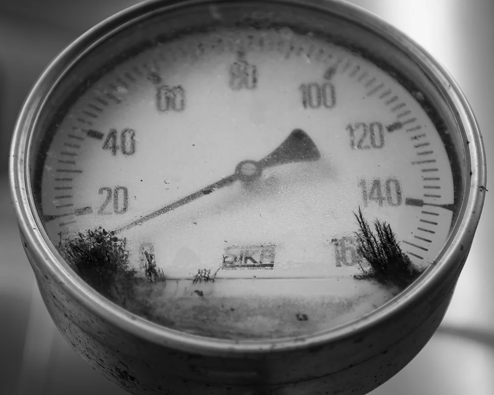 _DSC1055 4x5 copy.jpg