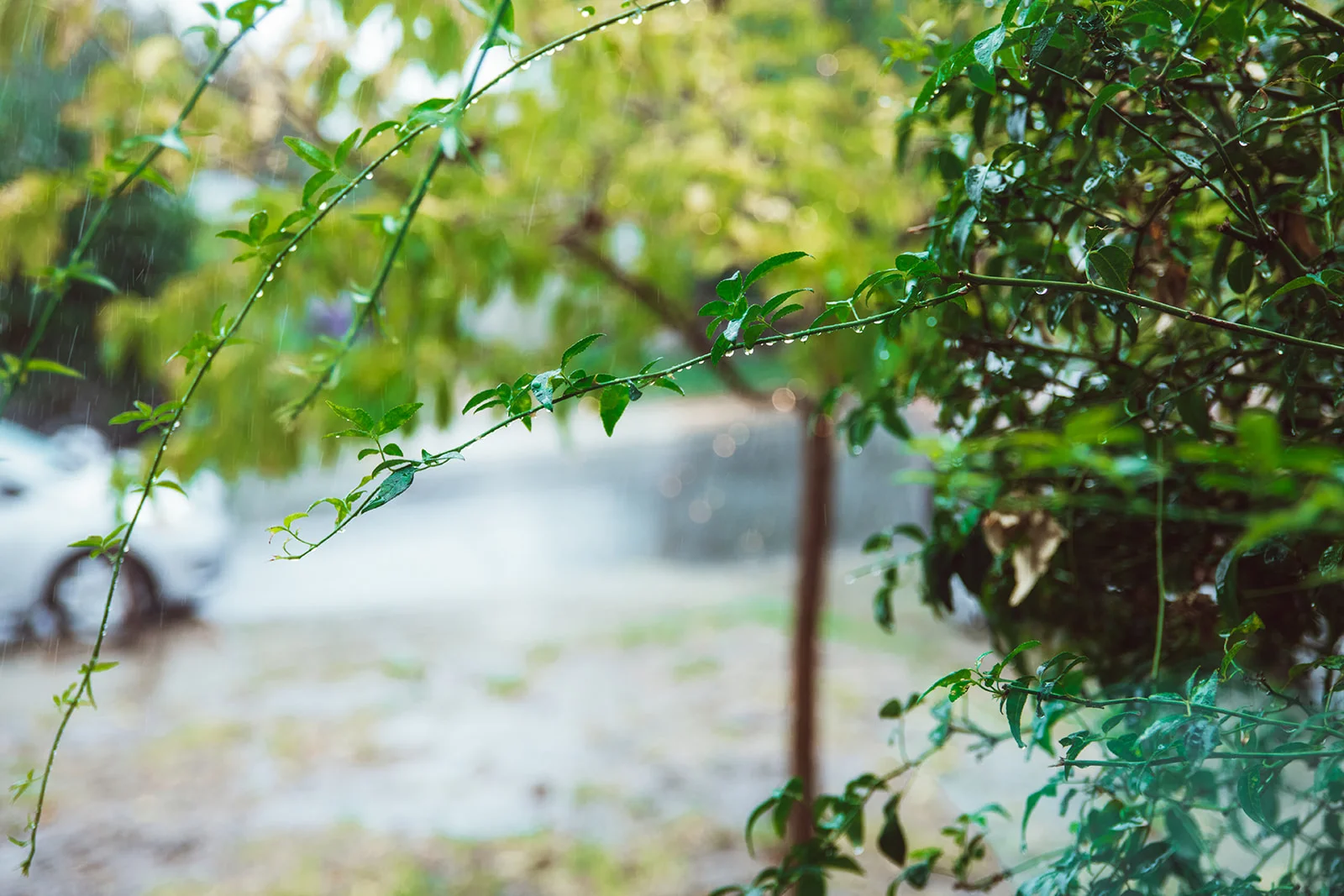 Jacksonville Florida doula birth photographer Amanda Smith Birth