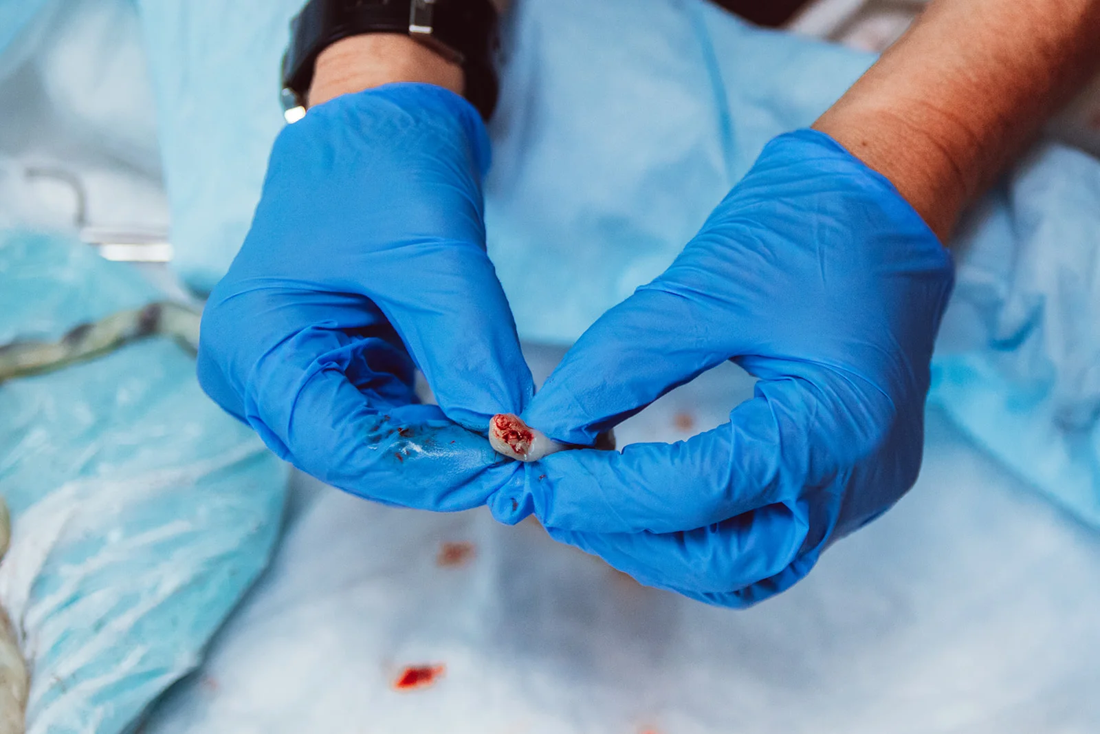 Jacksonville Florida doula birth photographer Amanda Smith Birth