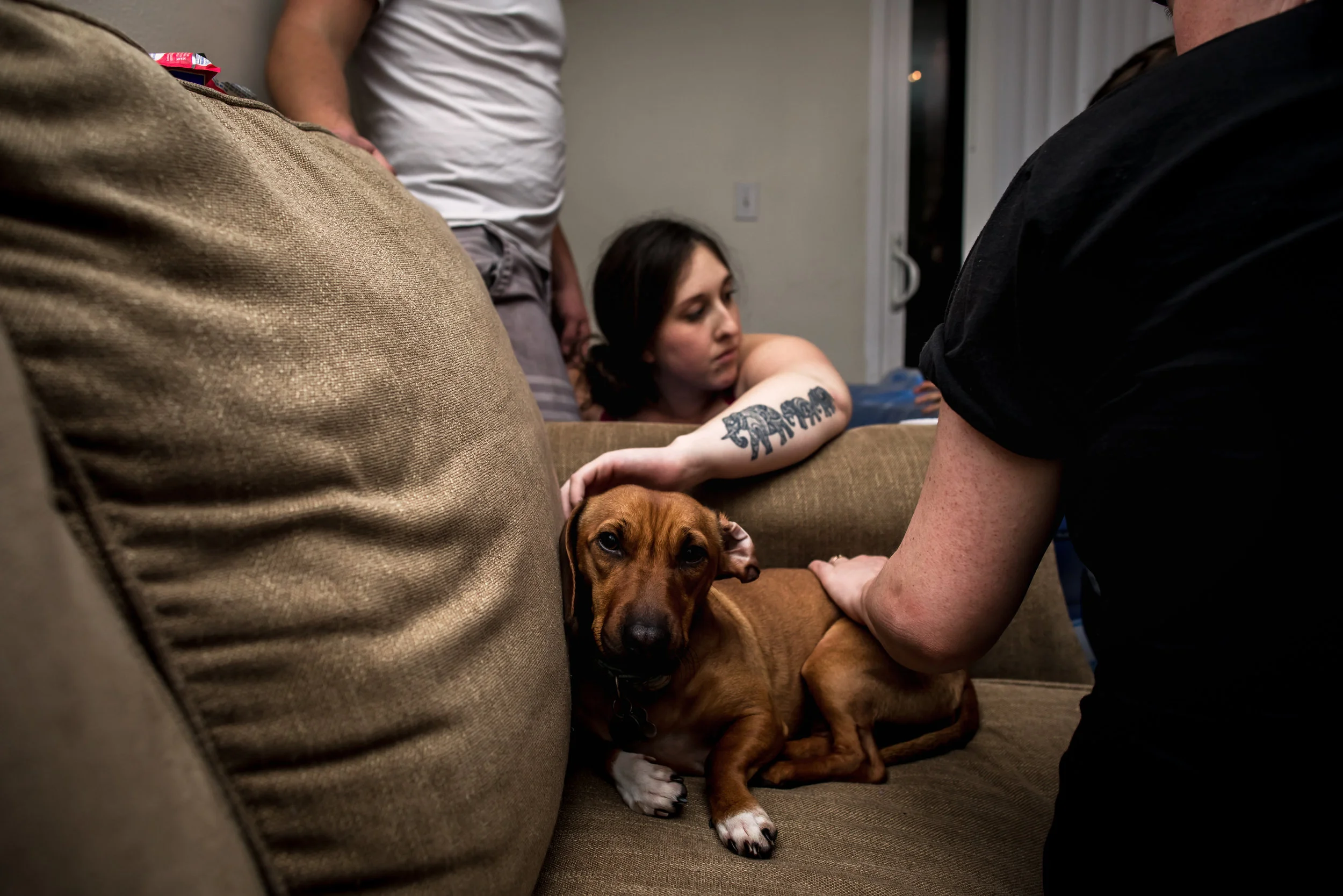 Wild Heart Photo + Film Jacksonville Birth Photographer