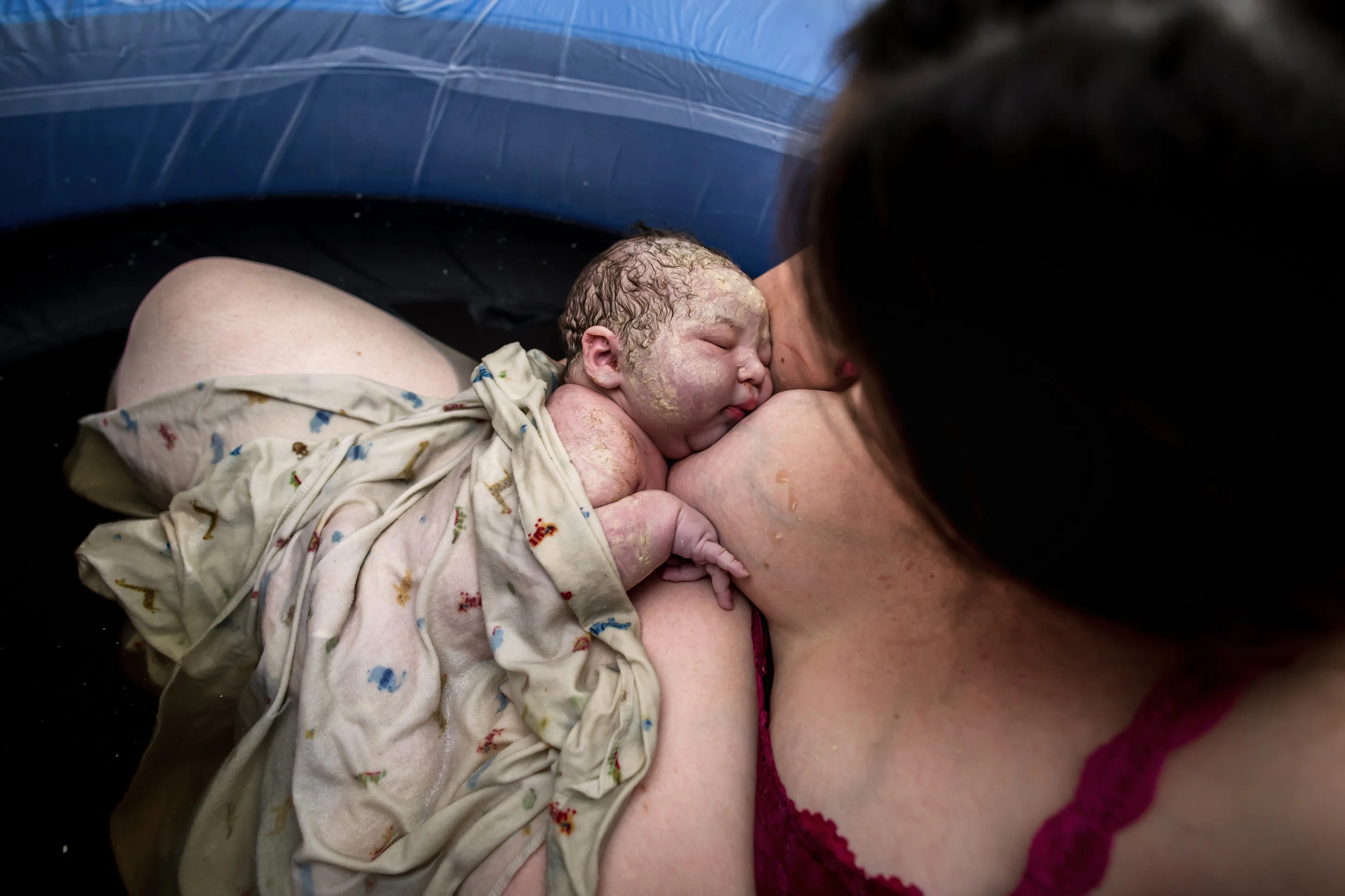 Wild Heart Photo + Film Jacksonville Birth Photographer