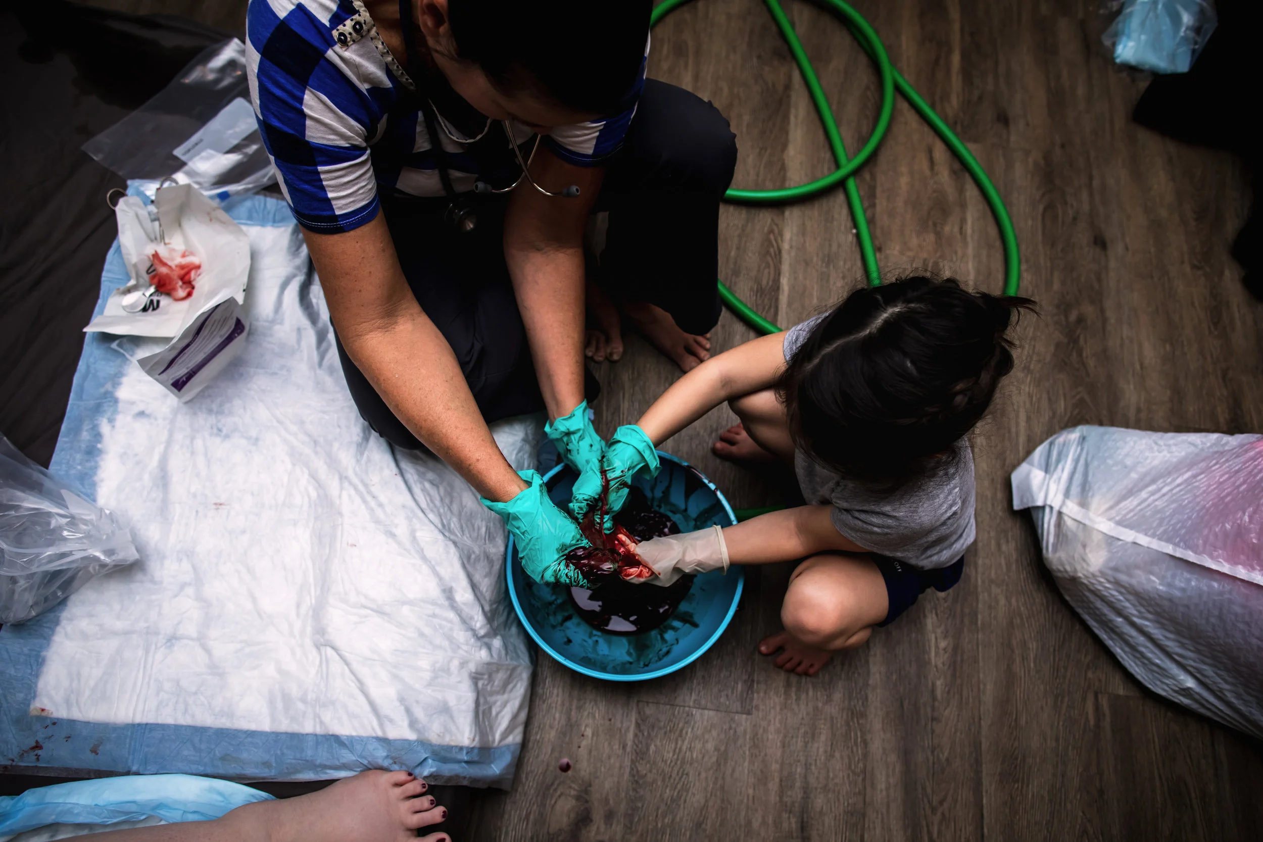 Wild Heart Photo + Film Jacksonville Birth Photographer