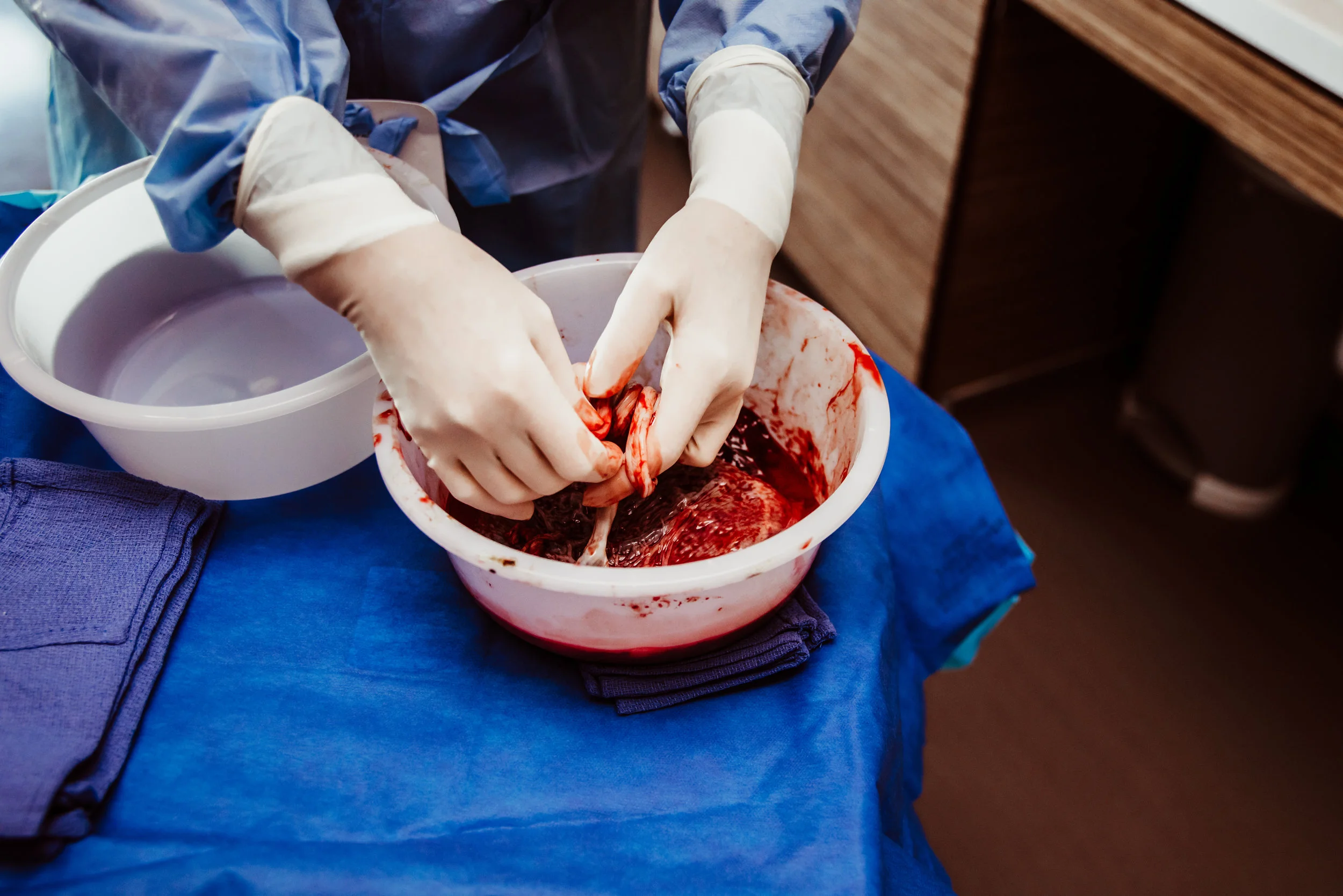 Wild Heart Photo + Film Jacksonville Birth Photographer