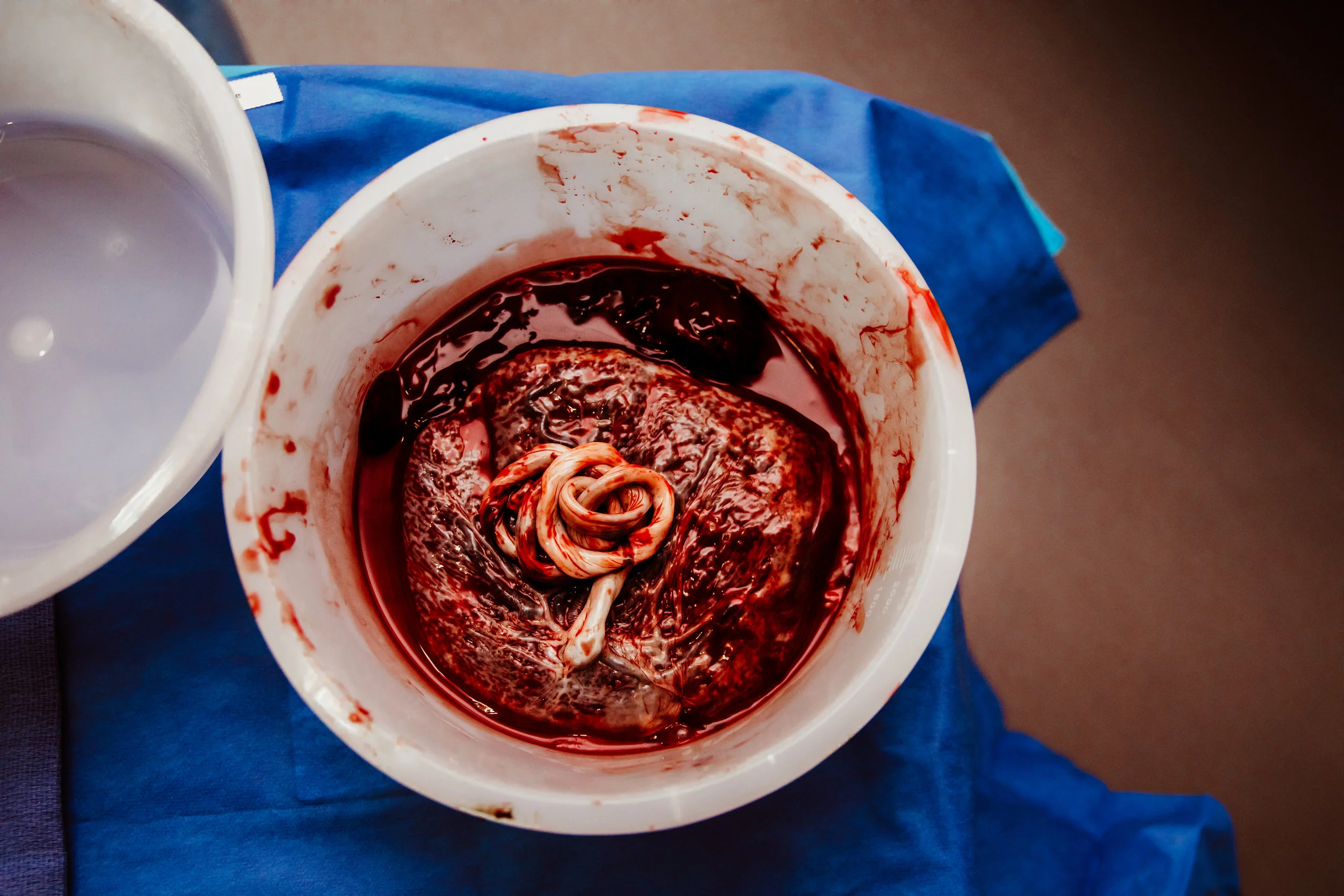 Wild Heart Photo + Film Jacksonville Birth Photographer