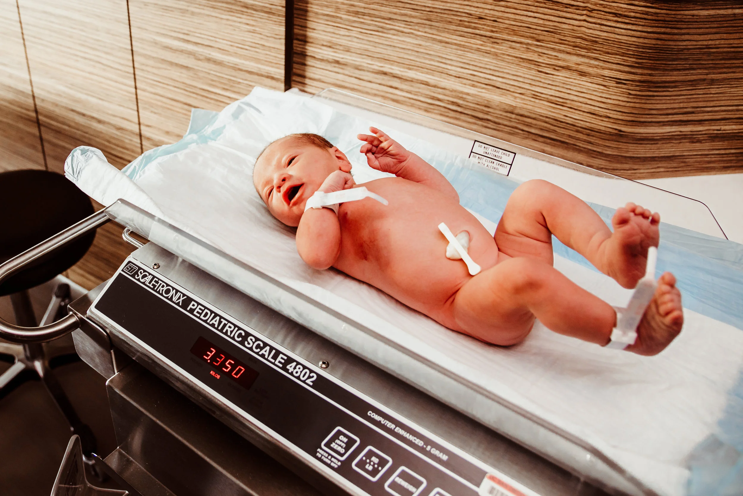 Wild Heart Photo + Film Jacksonville Birth Photographer