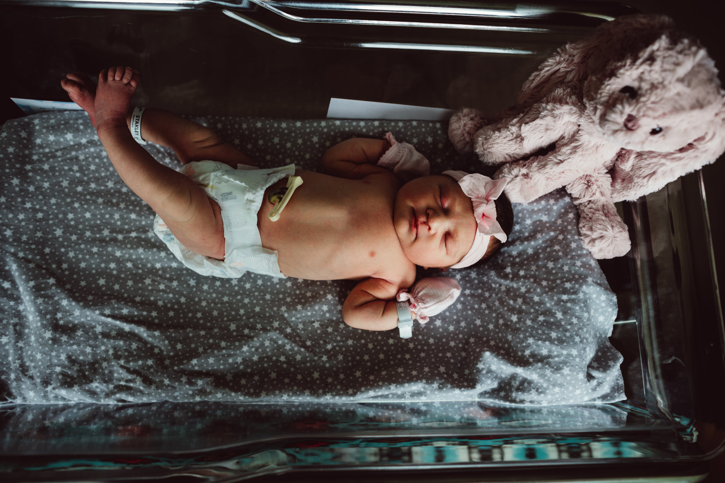 Newborn Birth Photographer Jacksonville Florida Wild Heart Photo and Film