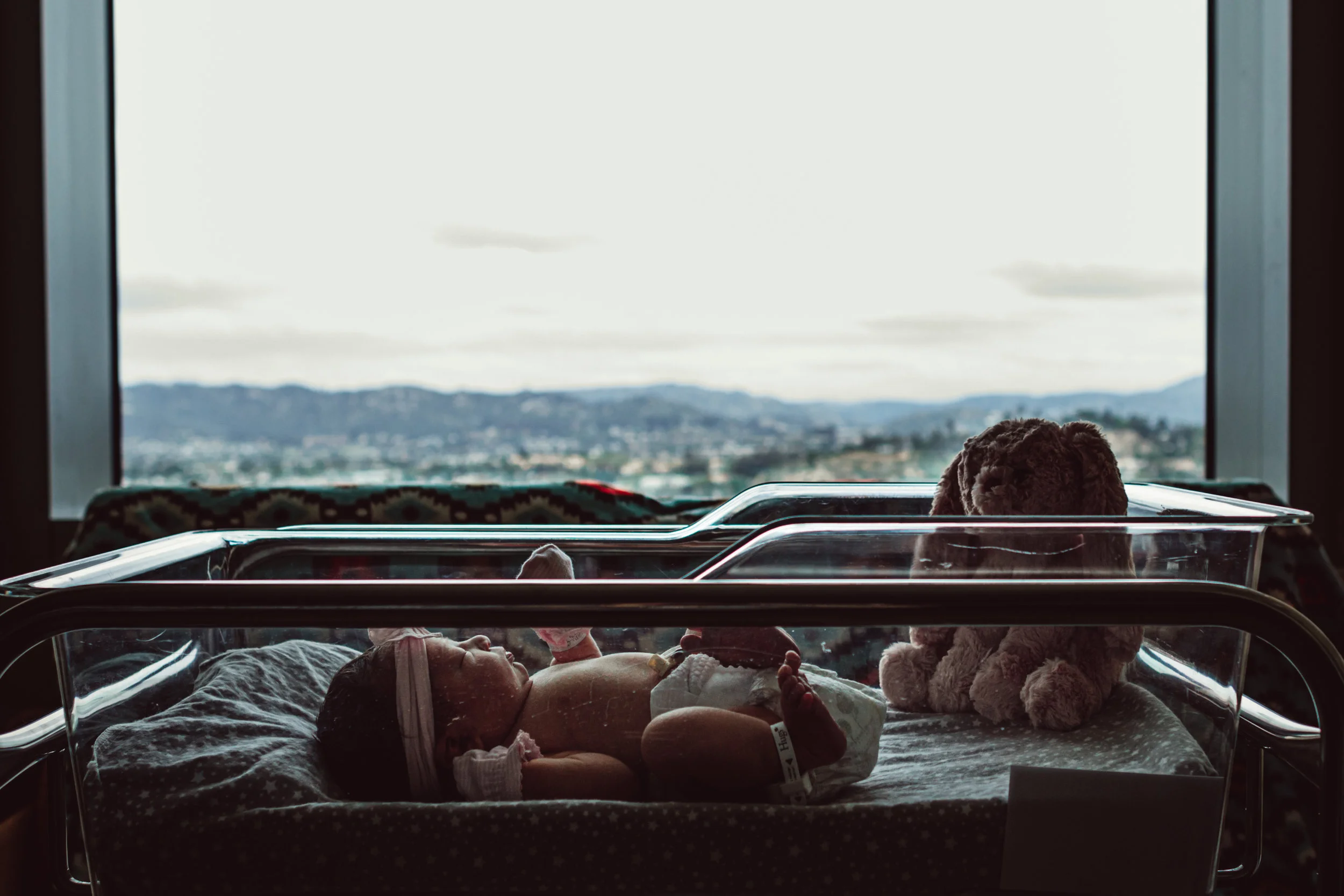 Newborn Birth Photographer Jacksonville Florida Wild Heart Photo and Film