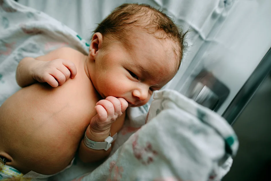 Newborn Birth Photographer Jacksonville Florida Wild Heart Photo and Film