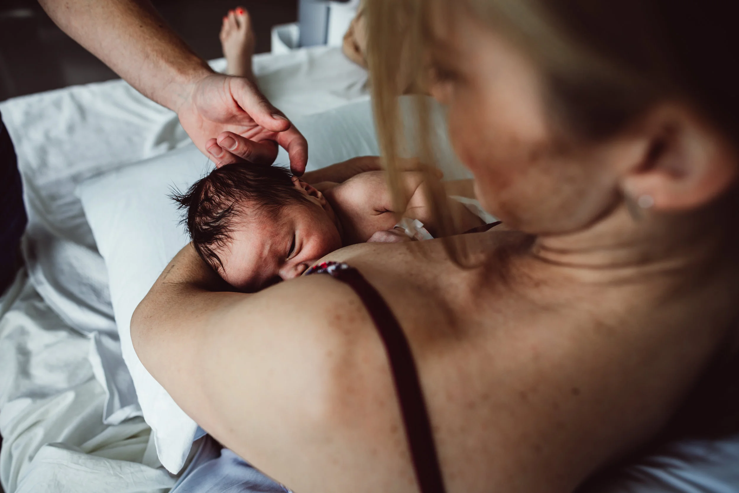 Wild Heart Photo + Film Jacksonville Newborn Photographer