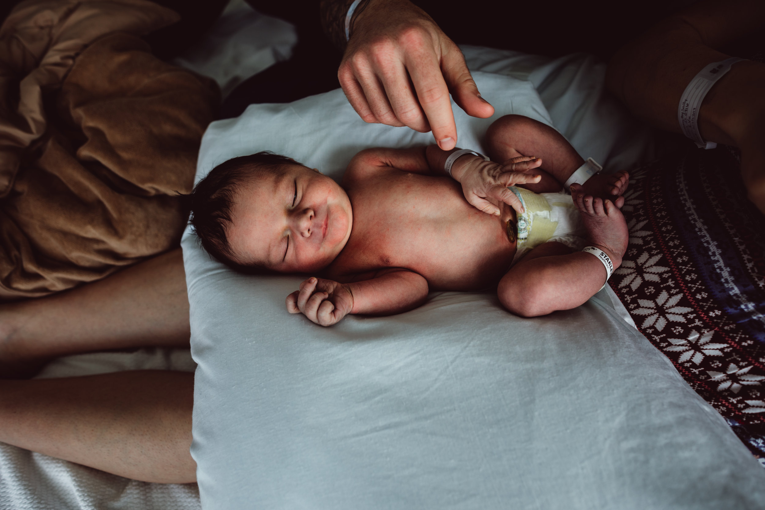 Wild Heart Photo + Film Jacksonville Newborn Photographer
