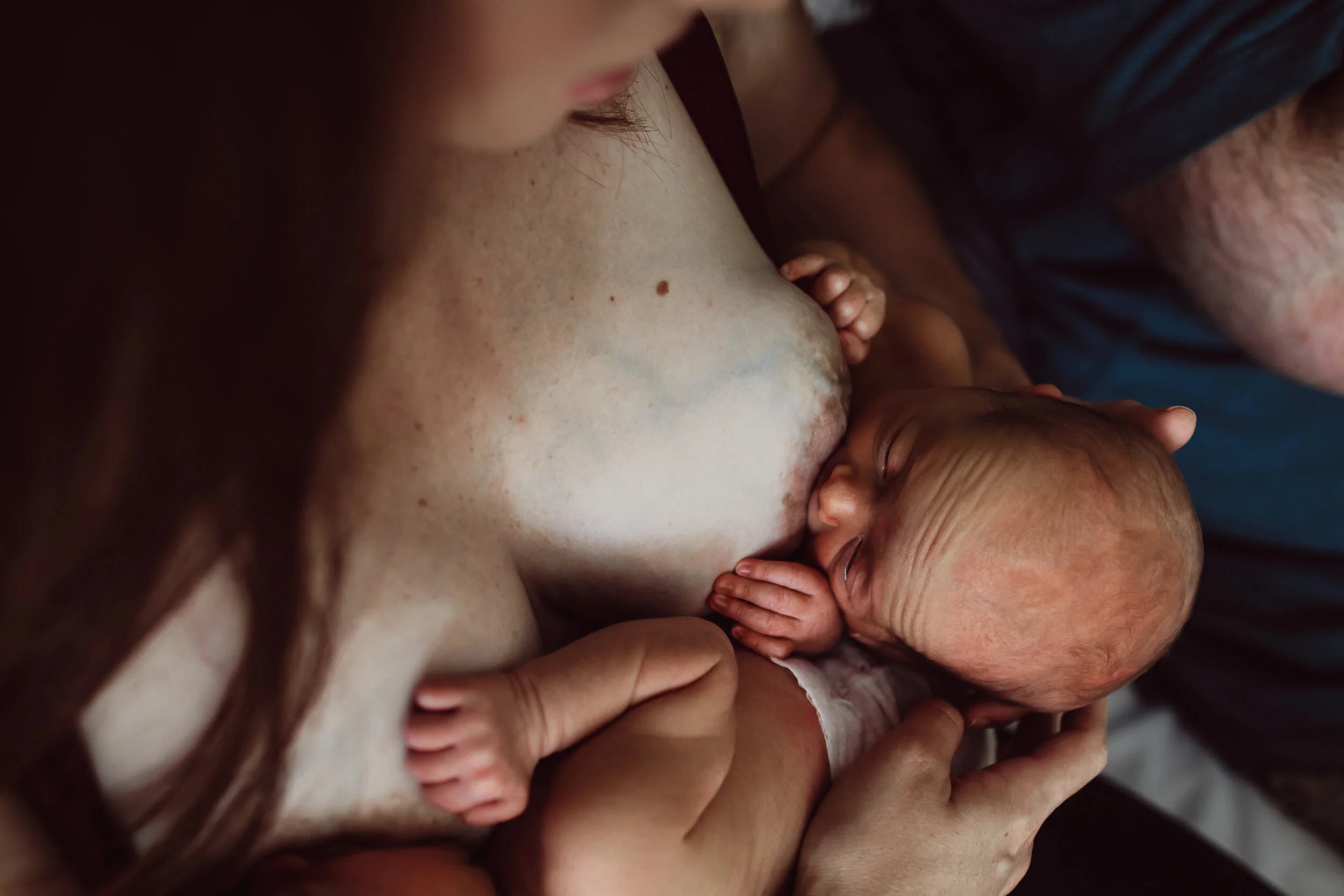 Wild Heart Photo + Film Jacksonville Newborn Photographer